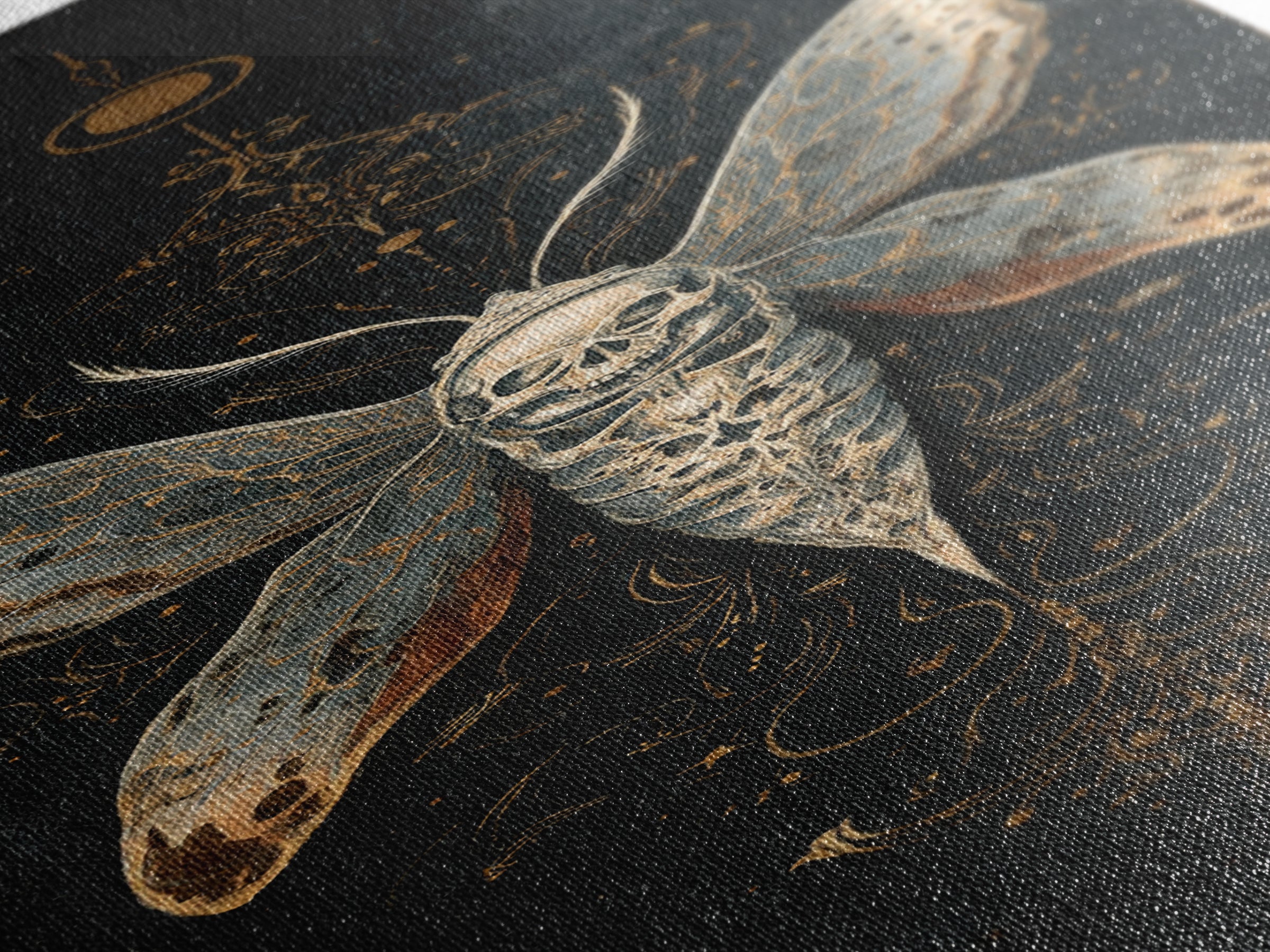 Moth with Skull Pattern on Black Ground Framed Canvas Print, Dark Art, Neutral Decor, Living Room Decor, Fine Art, Nocturne, DAR-1x3-75