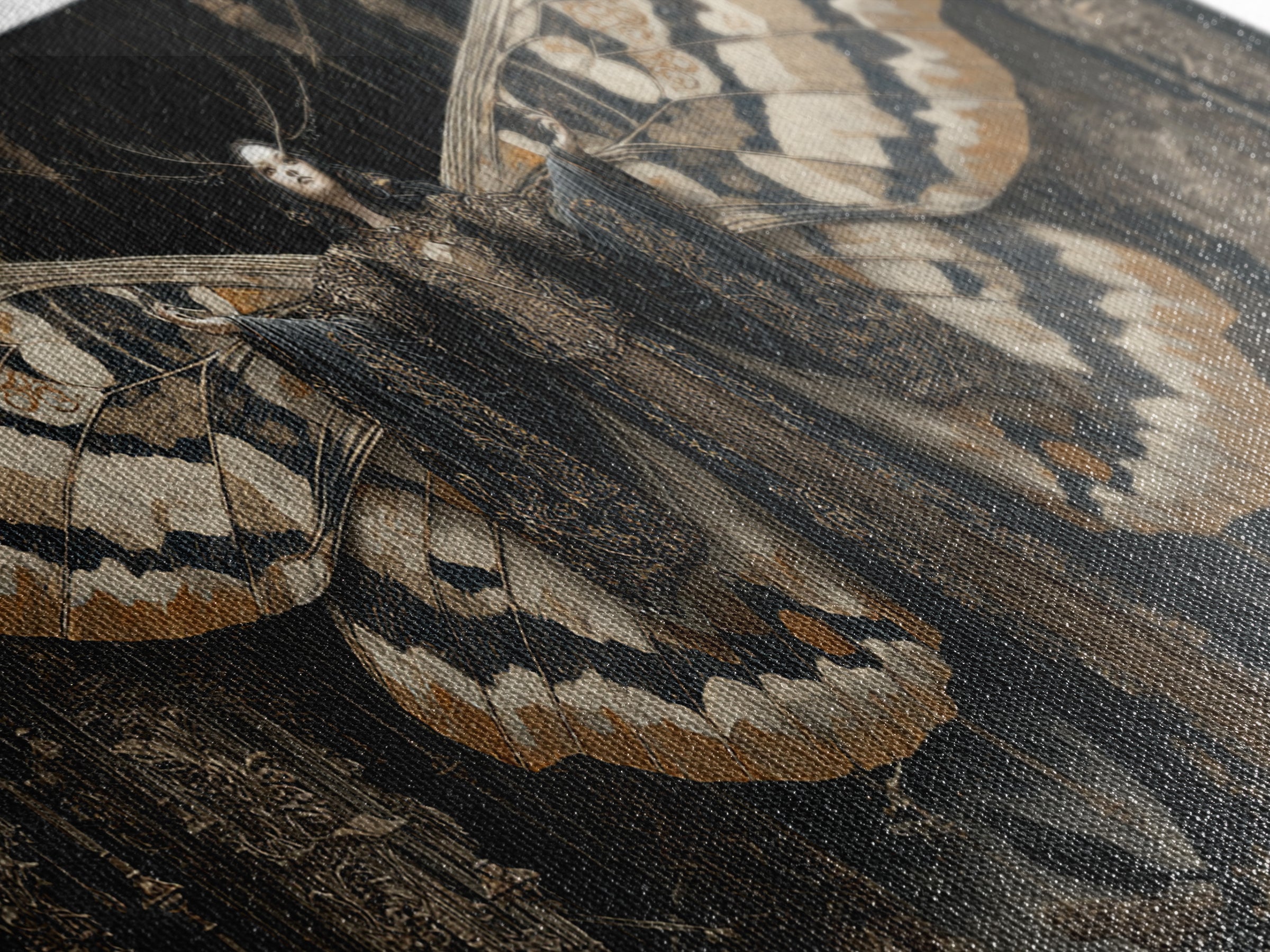 The Velvet Moth Witch, Wide Panoramic Art, Dark Halloween Decor, Canvas Print, Halloween Wall Decor, Gothic Home Decor, Halloween Wall Art