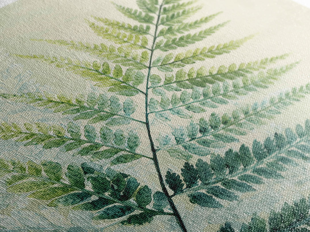 Botanical Fern Study Framed Canvas Print, Dental Office Art, Dental Hygiene, Office Decor, Fine Art, Calm, Medical Office Art, DOA-1x1-43