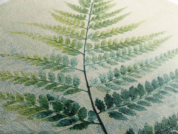 Botanical Fern Study Framed Canvas Print, Dental Office Art, Dental Hygiene, Office Decor, Fine Art, Calm, Medical Office Art, DOA-1x1-43