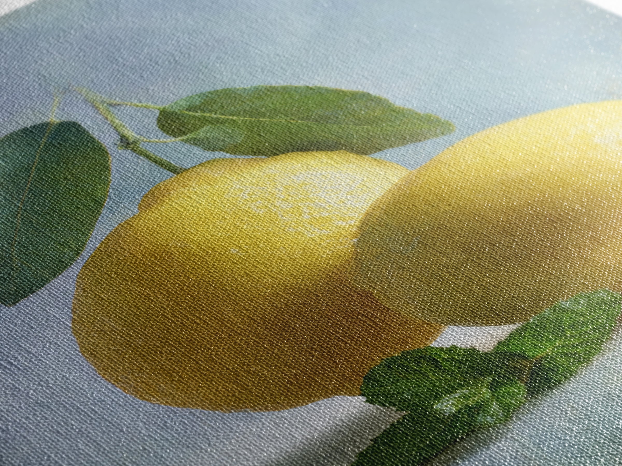 Fresh Citrus and Mint Still Life Canvas Print, Dental Office Art, Printable Digital, Office Decor, Calm, Neutral Decor, DOA-2x3-39