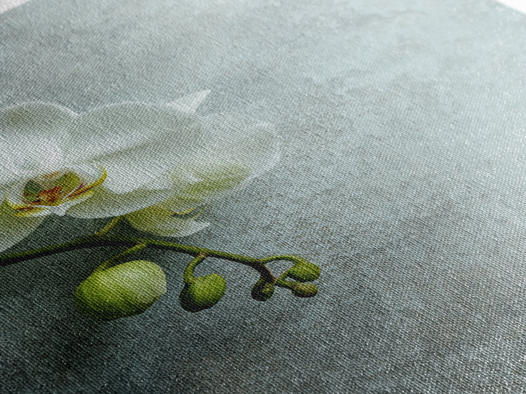 White Orchid on Stone Background Framed Canvas Print, Dental Office Art, Modern Decor, Office Decor, Fine Art, Calm, Poster, DOA-2x3-68