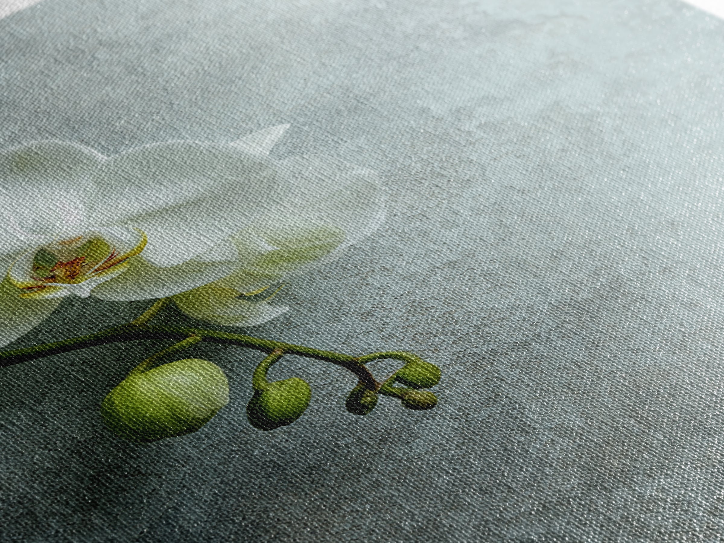 White Orchid on Stone Background Framed Canvas Print, Dental Office Art, Modern Decor, Office Decor, Fine Art, Calm, Poster, DOA-2x3-68