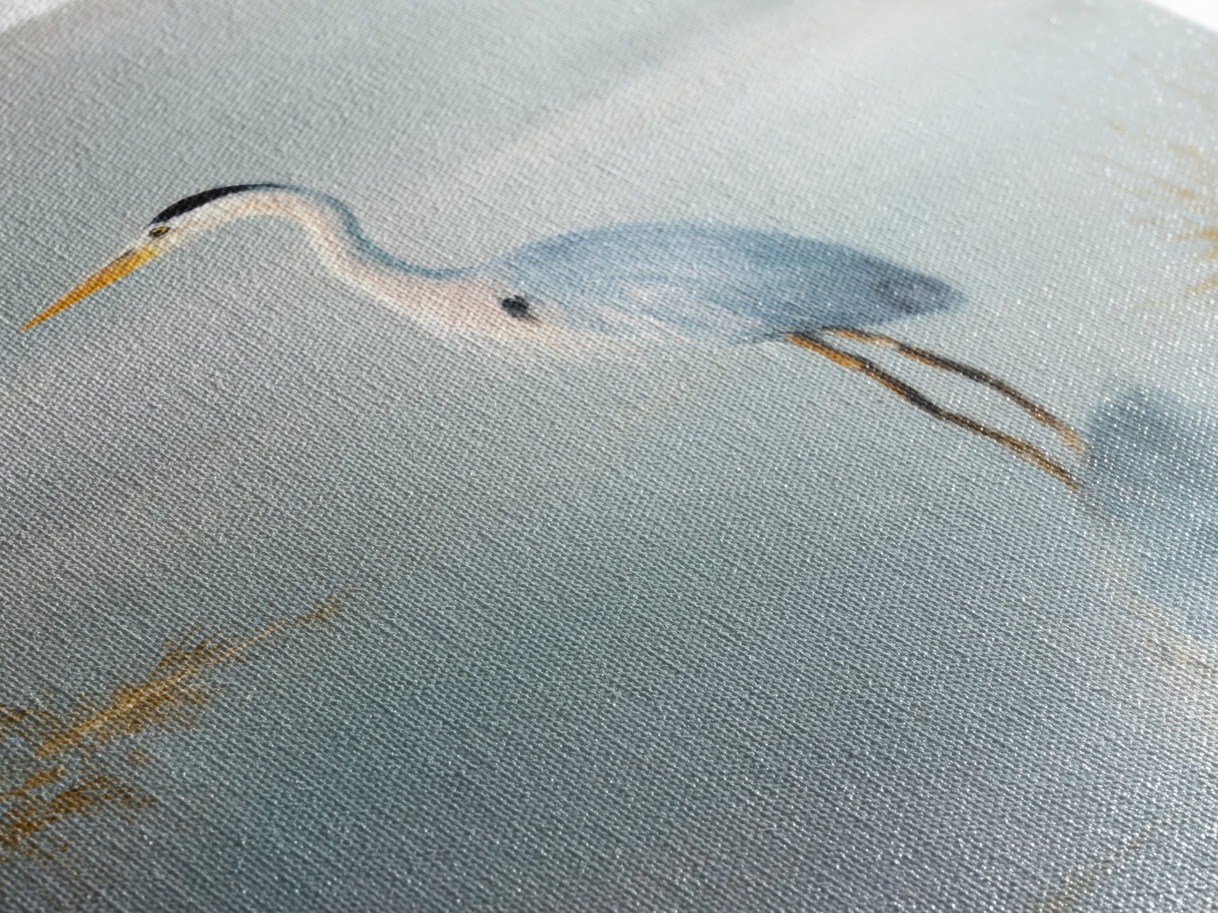 Blue Heron by Calm Marsh Water Canvas Print, Dental Office Art, Decor, Office Decor, Fine Art, Calm, Digital Artwork, DOA-2x3-7