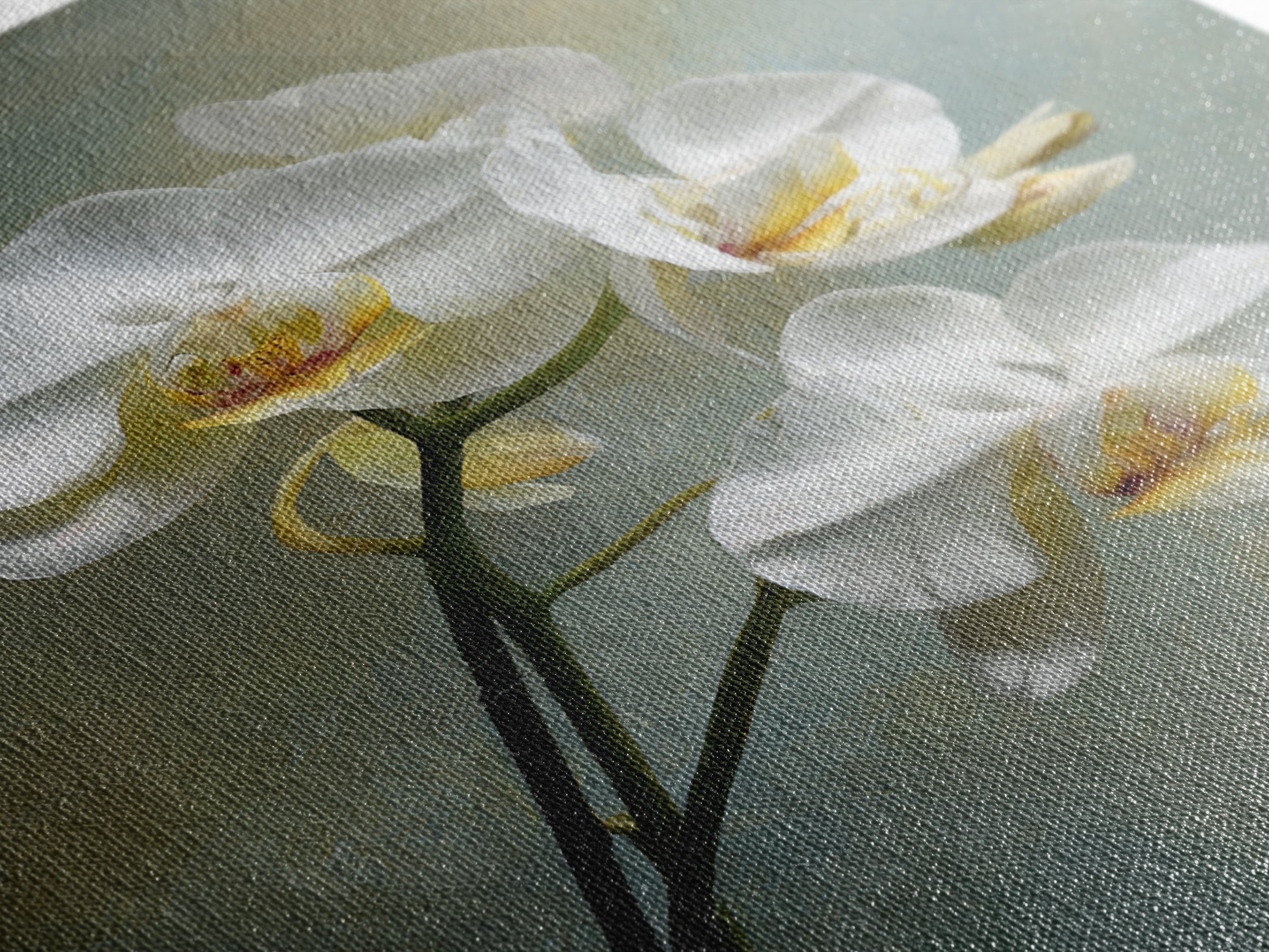White Orchid on Stone Background Framed Canvas Print, Dental Office Art, Dental Wall Art, Office Decor, Abstract Art, Calm, DOA-2x3-92
