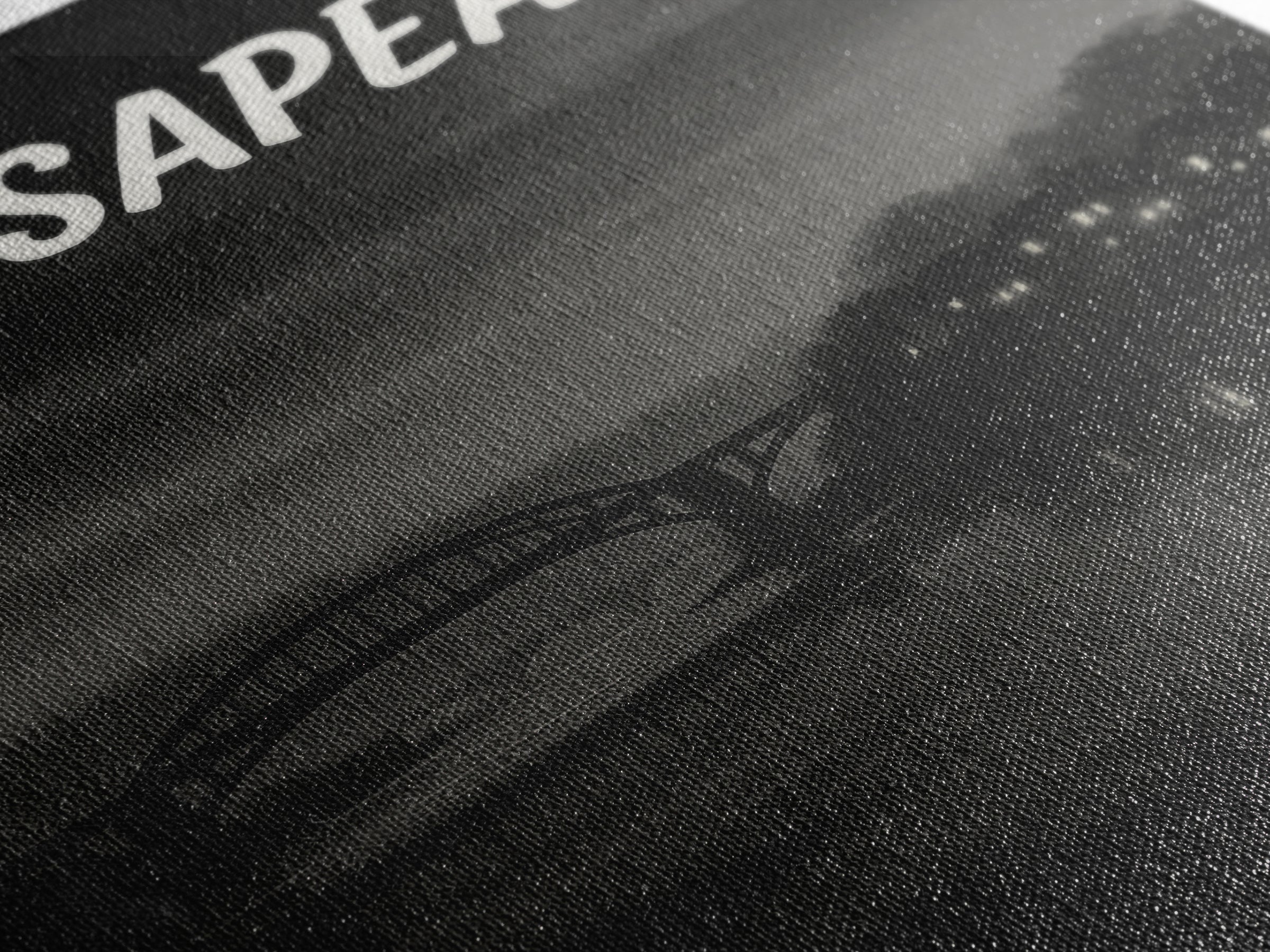 Chesapeake Virginia Travel Poster, Canvas Print, Vintage Noir Poster Art, Chesapeake Wall Art, Fine Art Print, Wall Art, City Art Print