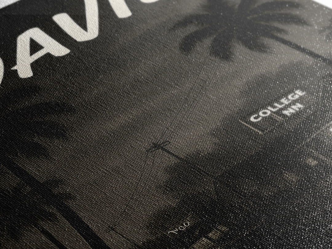Davie Florida Travel Poster, Canvas Print, Black And White Travel Art, Davie Art Print, City Poster, Travel Wall Art, Travel Art Print