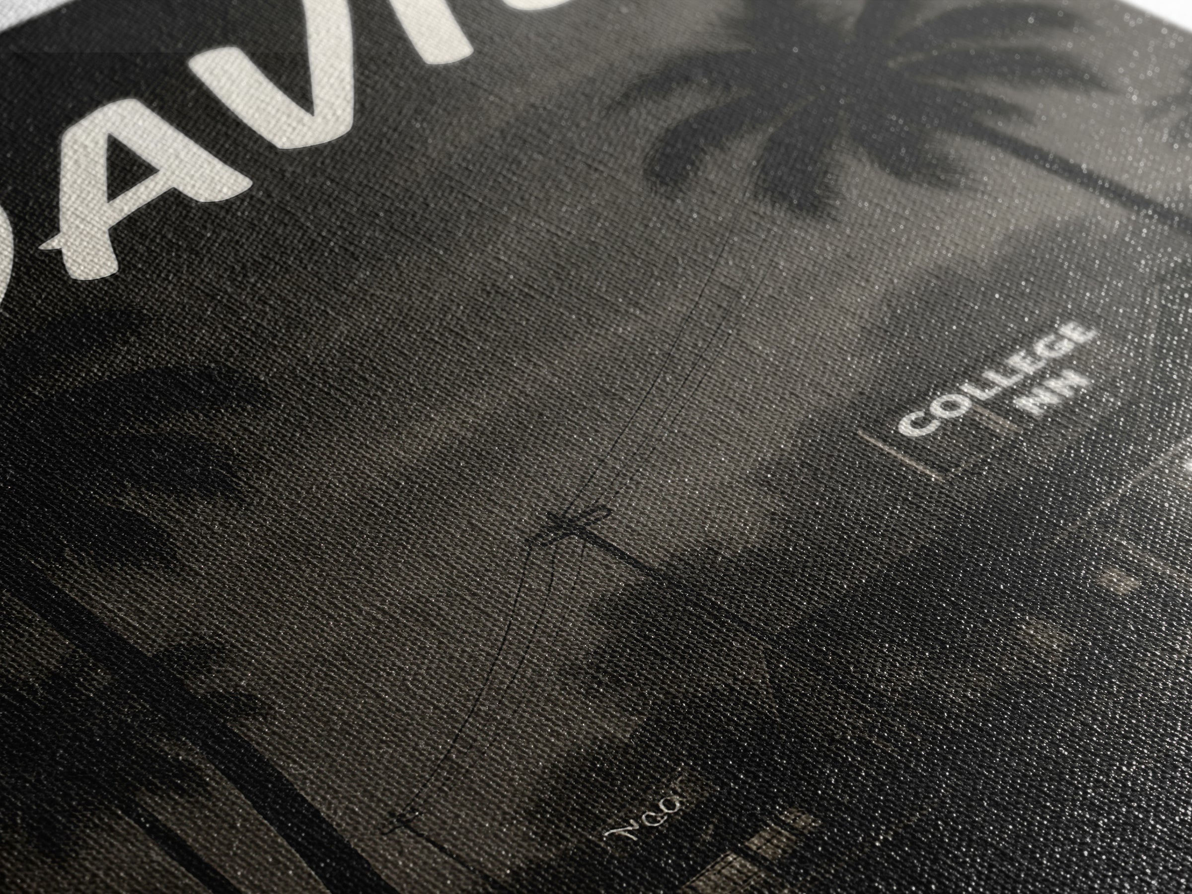 Davie Florida Travel Poster, Canvas Print, Black And White Travel Art, Davie Art Print, City Poster, Travel Wall Art, Travel Art Print