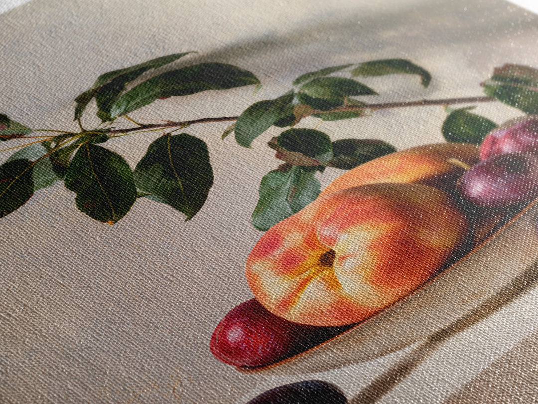 Peach and Plum Still Life Framed Canvas Print, Dining Room Art, Kitchen Prints, Dining Room Decor, Fine Art, Dining, Art Print, DRA-2x3-4