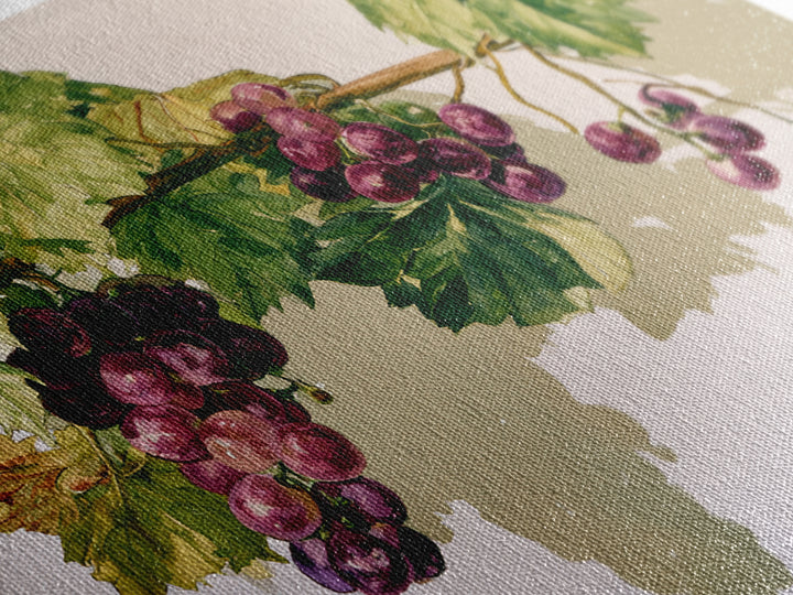 Botanical Grapevine with Leaves and Fruit Canvas Print, Dining Room Art, Abstract Wall Art, Dining Room Decor, Oil Painting, DRA-3x2-49