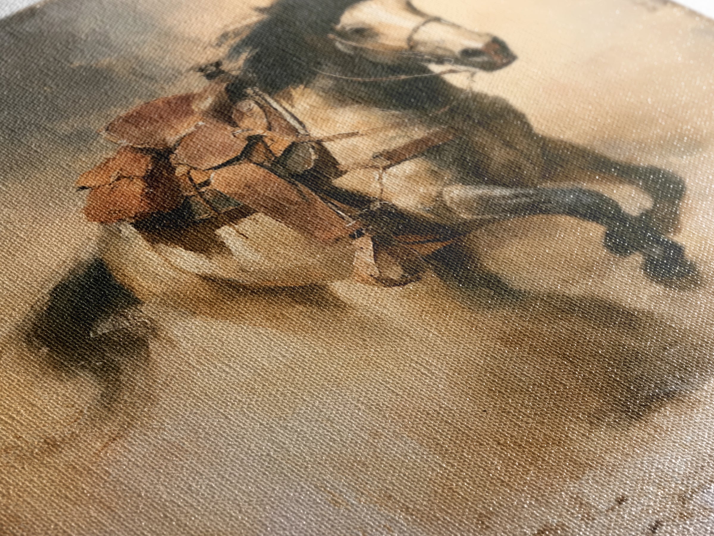 Galloping Horse in Golden Dust and Sunlight Canvas Print, Equestrian Art, Gallery Wall Art, Living Room Decor, Equestrian, EQU-1x1-1