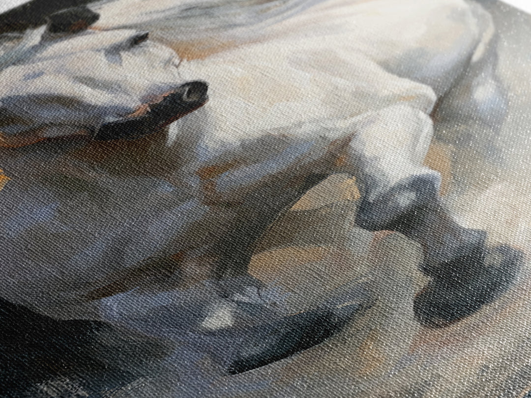 White Horse Running Through Shallow Water Canvas Print, Equestrian Art, Room Decor, Living Room Decor, Fine Art, Equestrian, EQU-1x3-17