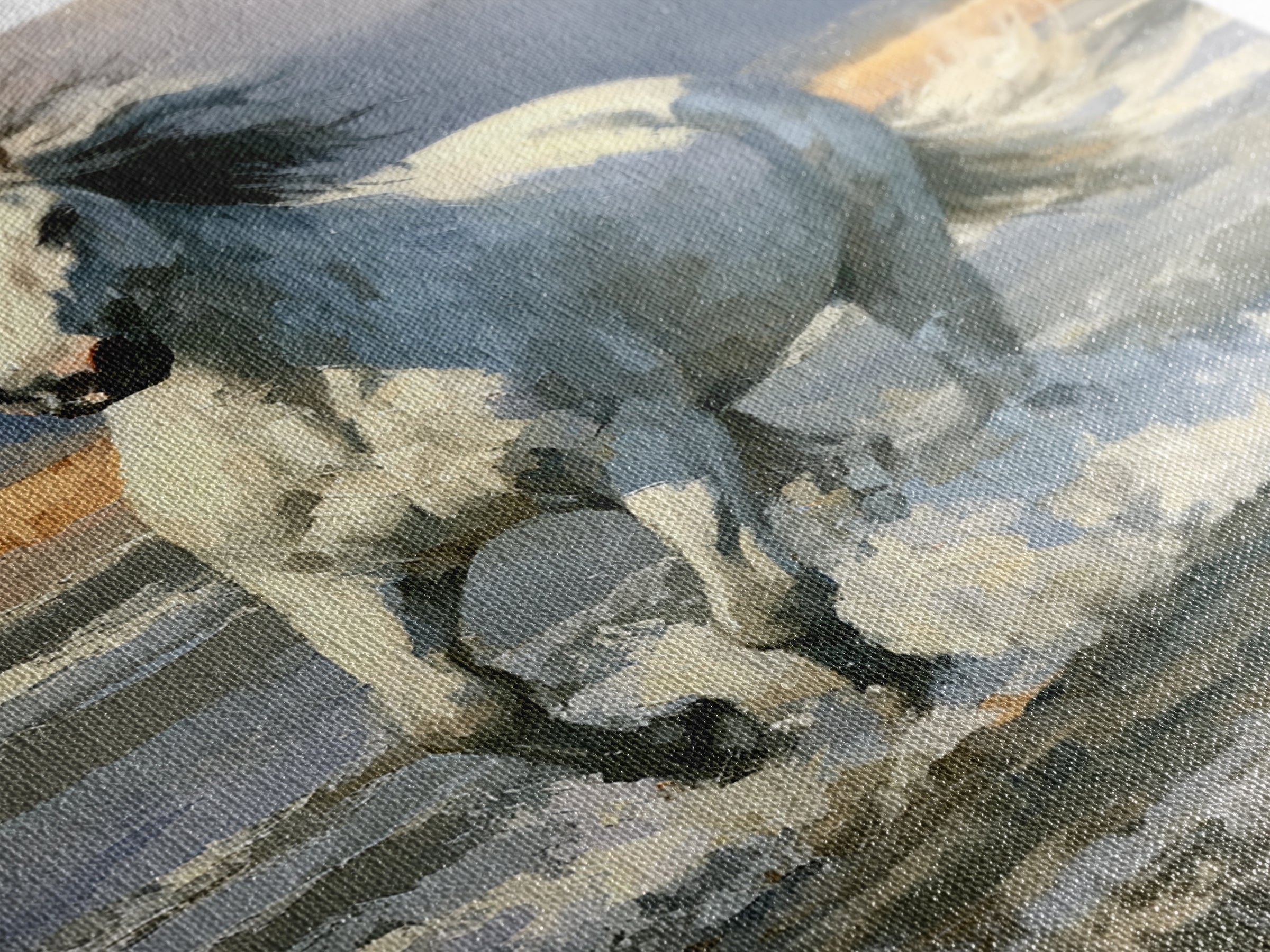 White Horse Running Through Shallow Water Canvas Print, Equestrian Art, Digital Print, Living Room Decor, Fine Art, Equestrian, EQU-2x3-61