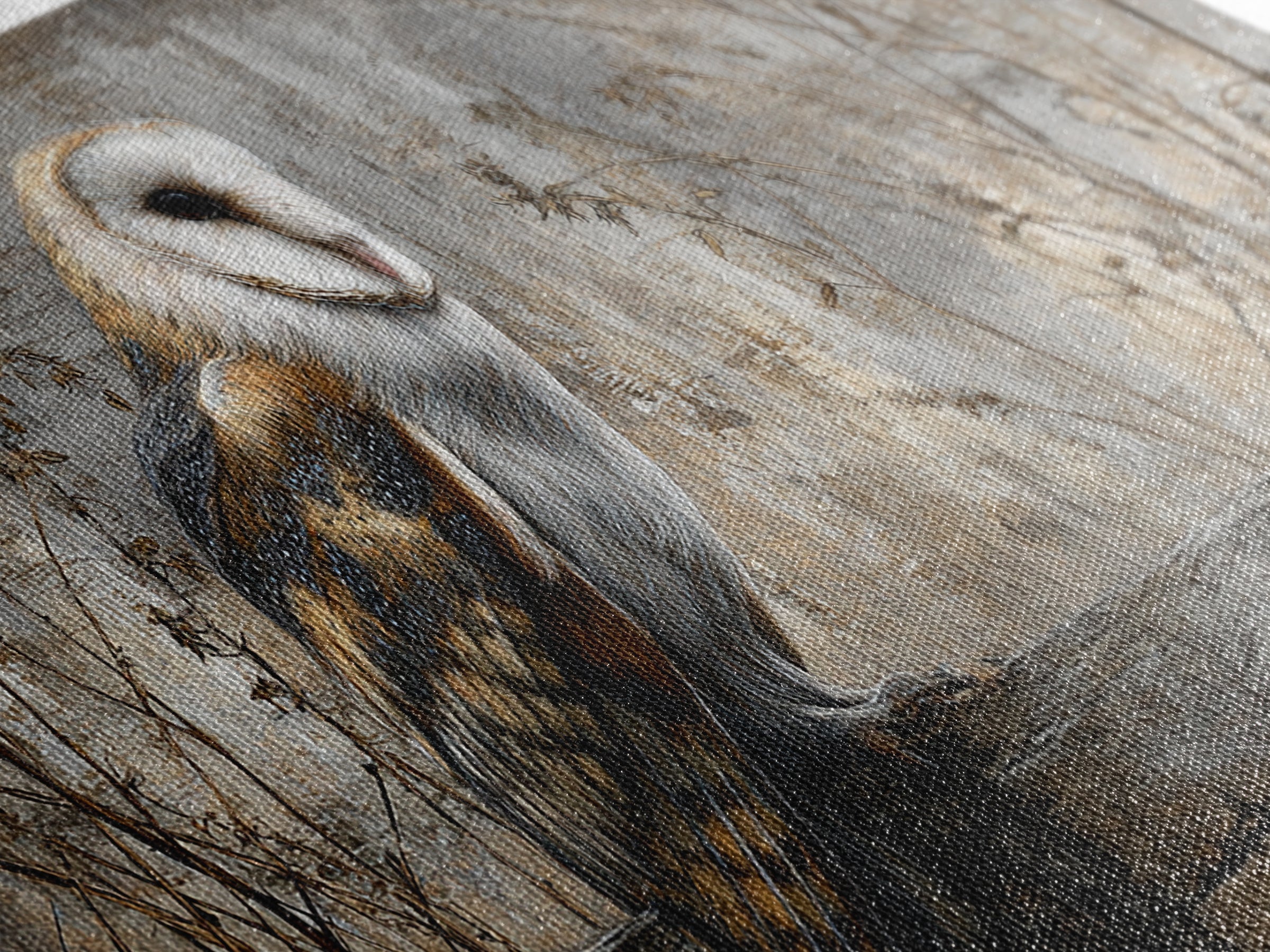 Barn Owl Perched on Aged Wood Framed Canvas Print, Farmhouse Art, Gallery Wall, Farmhouse Decor, Fine Art, Harvest, Art Print, FAR-2x1-19