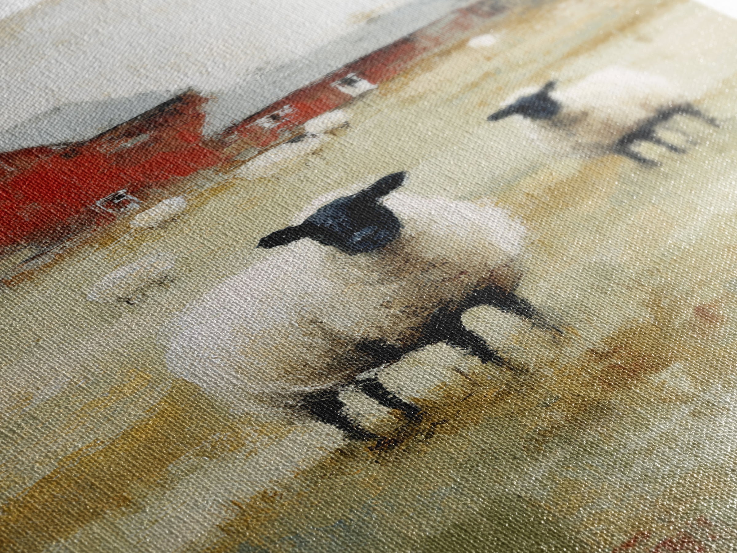 Black and White Sheep Canvas Print, Farmhouse Art, Botanical Prints, Farmhouse Decor, Fine Art, Harvest, Statement Artwork, FAR-2x3-16