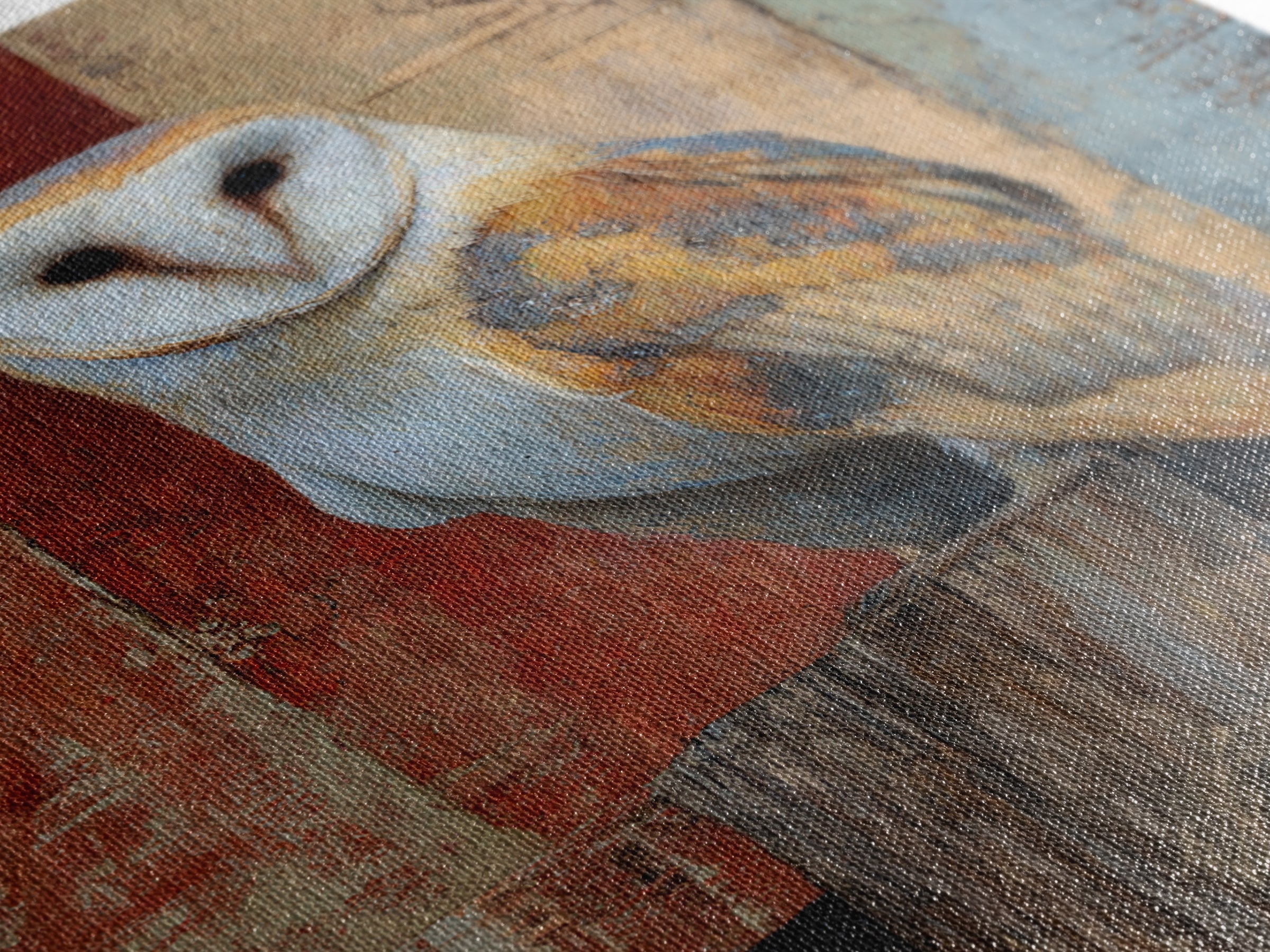 Barn Owl Perched on Aged Wood Canvas Print, Farmhouse Art, Statement Artwork, Farmhouse Decor, Fine Art, Harvest, Wall Decor, FAR-2x3-31