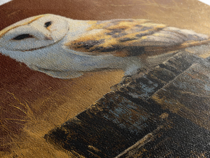 Barn Owl Perched on Aged Wood Framed Canvas Print, Farmhouse Art, Textured Painting, Farmhouse Decor, Fine Art, Harvest, FAR-2x3-55