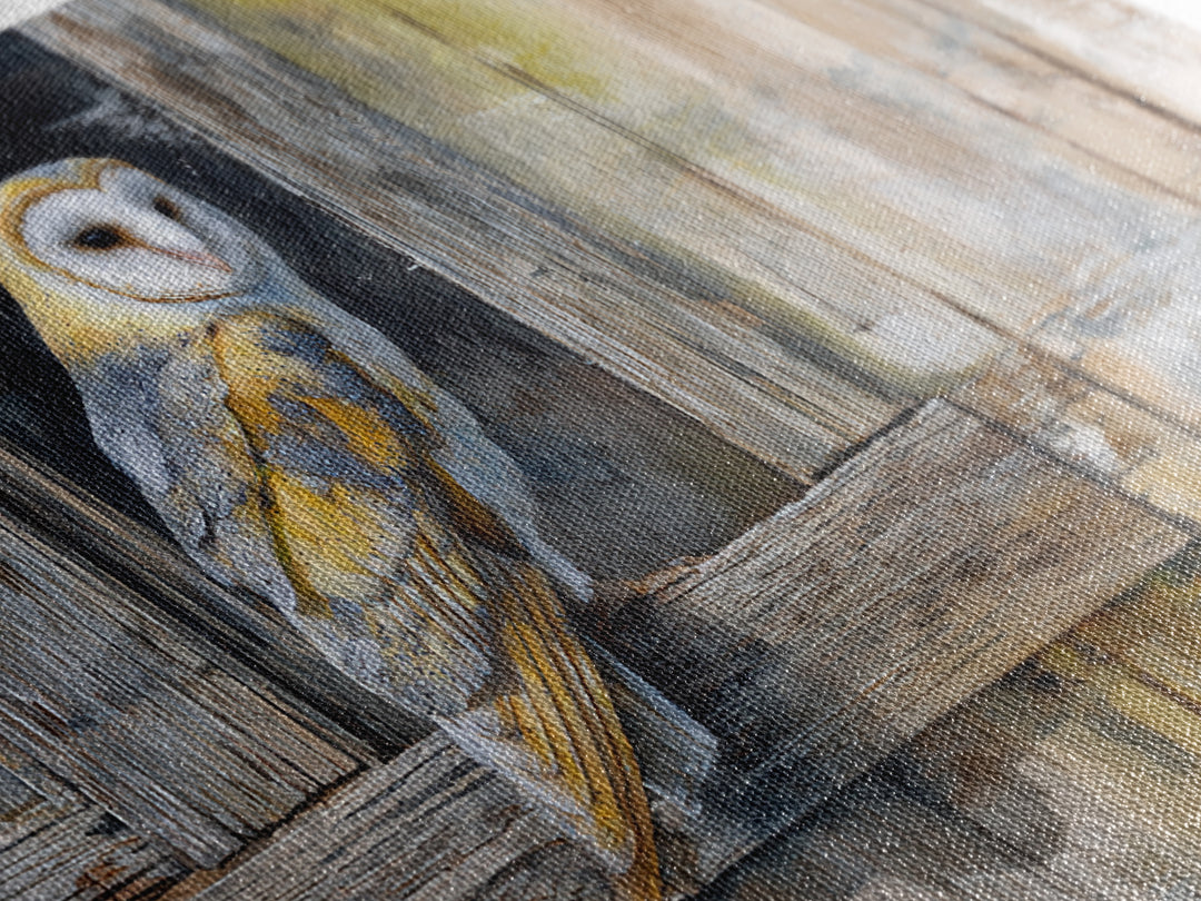 Barn Owl Perched on Aged Wood Canvas Print, Farmhouse Art, Farmhouse Wall Art, Farmhouse Decor, Fine Art, Harvest, Luxury Decor, FAR-3x2-51
