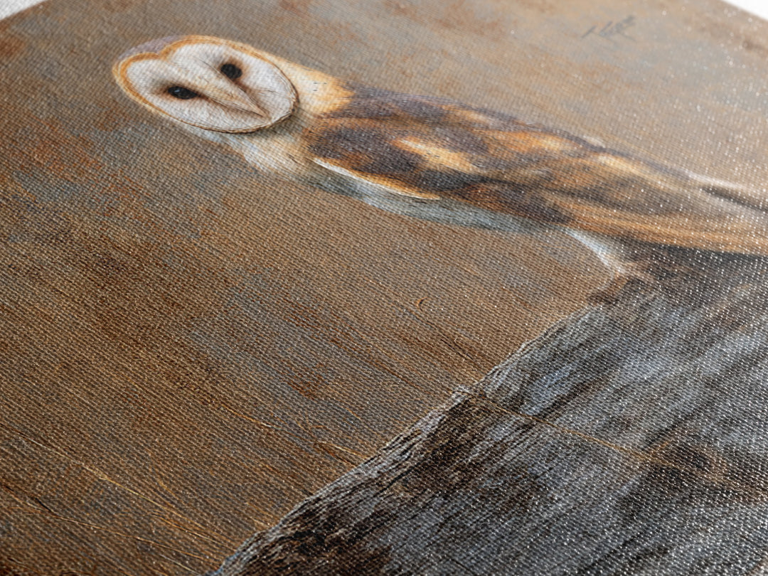 Barn Owl Perched on Aged Wood Framed Canvas Print, Farmhouse Art, Minimalist Decor, Farmhouse Decor, Fine Art, Harvest, FAR-3x2-99