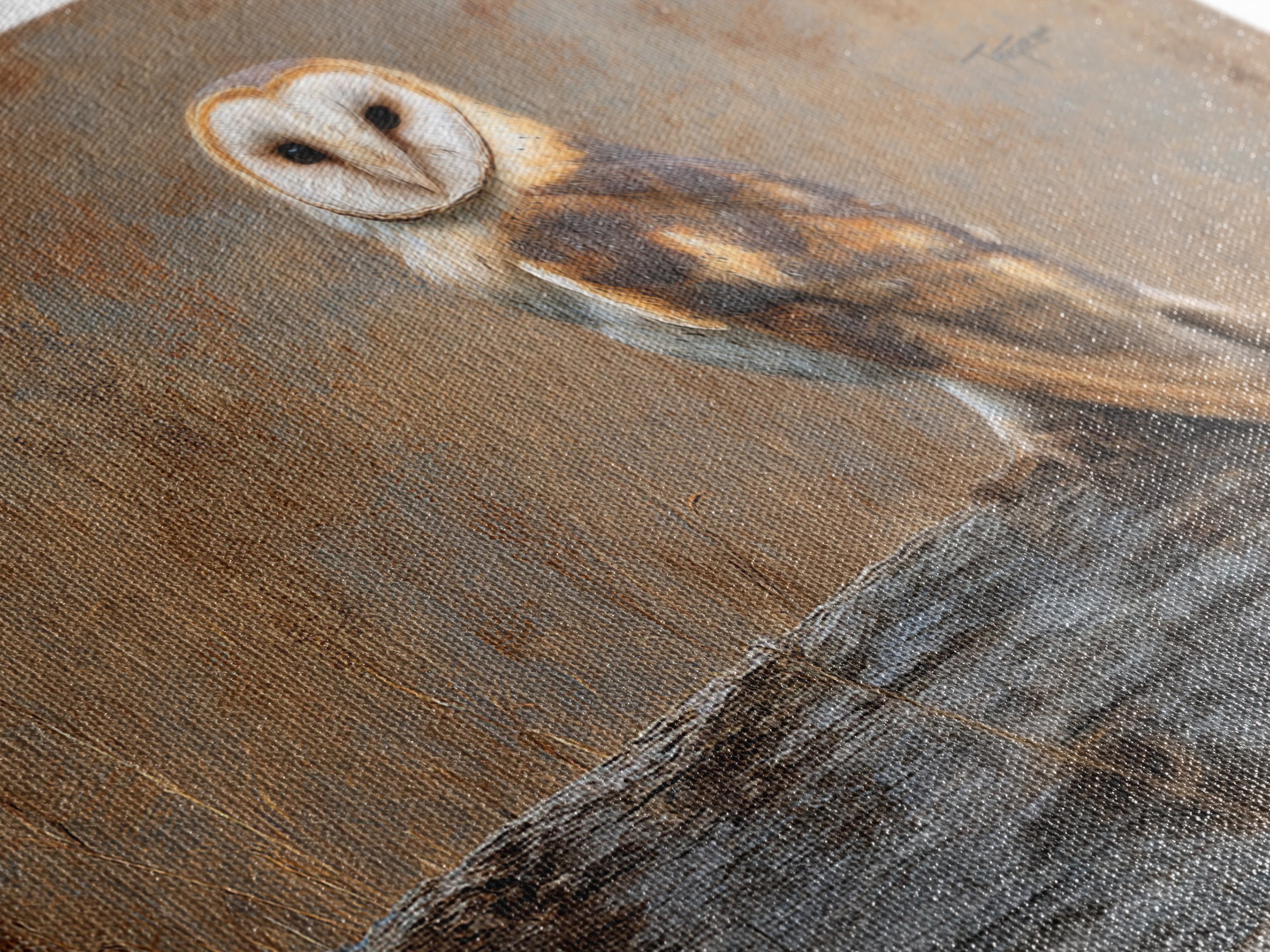 Barn Owl Perched on Aged Wood Framed Canvas Print, Farmhouse Art, Minimalist Decor, Farmhouse Decor, Fine Art, Harvest, FAR-3x2-99