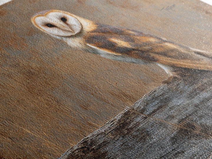 Barn Owl Perched on Aged Wood Framed Canvas Print, Farmhouse Art, Minimalist Decor, Farmhouse Decor, Fine Art, Harvest, FAR-3x2-99