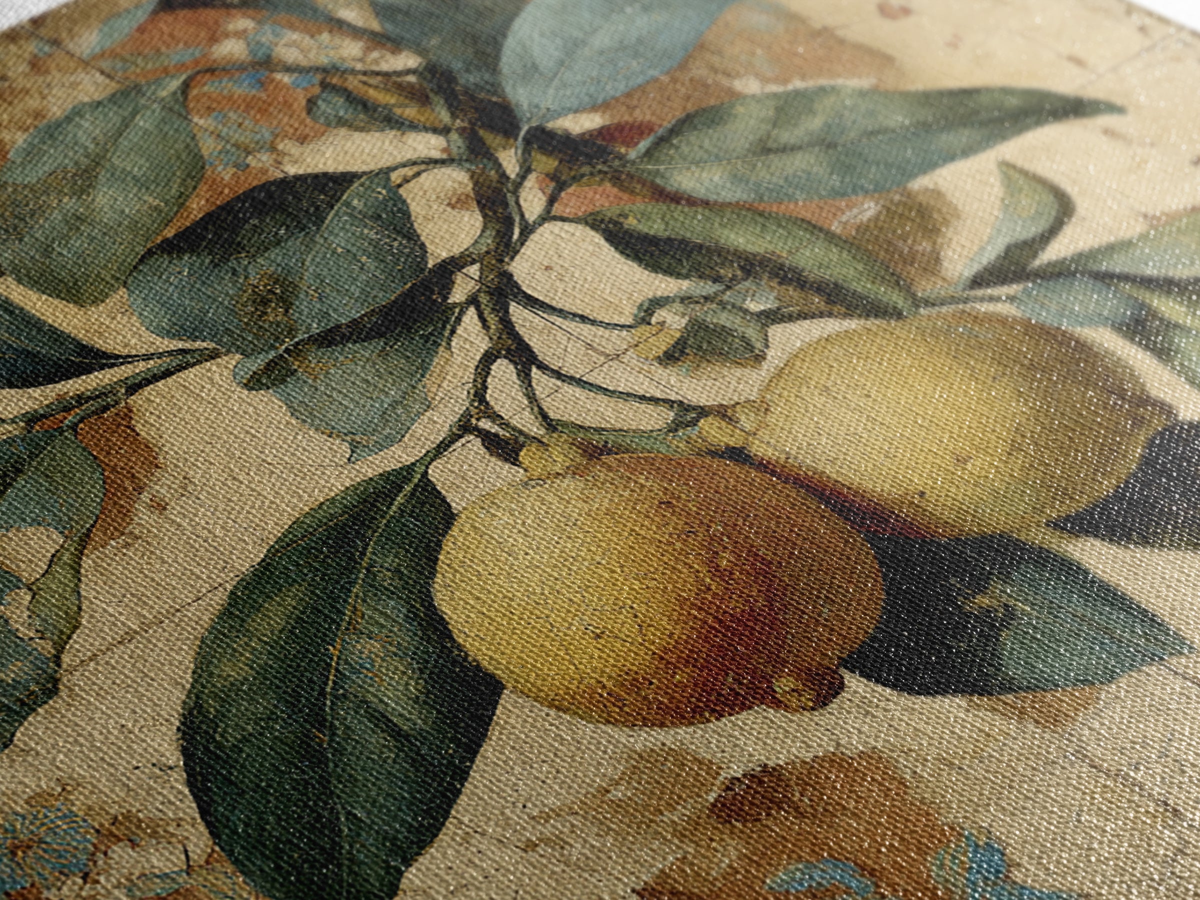 Aged Botanical Plate of Lemons and Leaves Canvas Print, French Country Art, Landscape Wall Art, Farmhouse Decor, Country, FCA-1x1-84