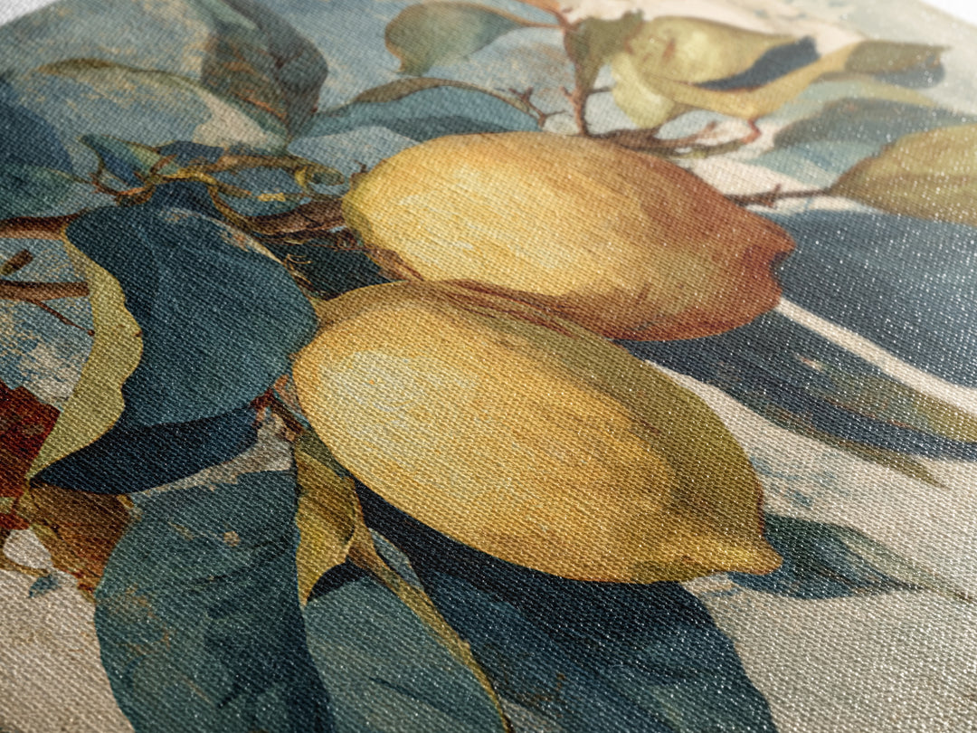 Aged Botanical Plate of Lemons and Leaves Framed Canvas Print, French Country Art, Farmhouse Decor, Fine Art, Country, FCA-3x2-64