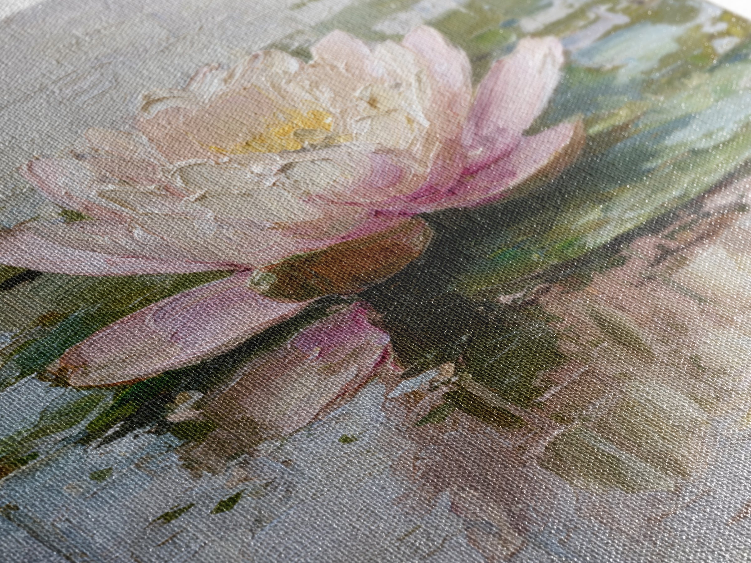 Lotus Blossom Floating on Still Water Framed Canvas Print, Floral Art, Gallery Decor, Living Room Decor, Fine Art, Bloom, FLO-1x1-62