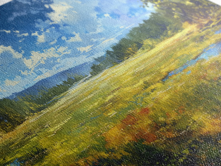 Sunlit Meadow with Loose Impressionist Brushwork Canvas Print, General Fine Art, Contemporary Art, Living Room Decor, GEN-2x1-10