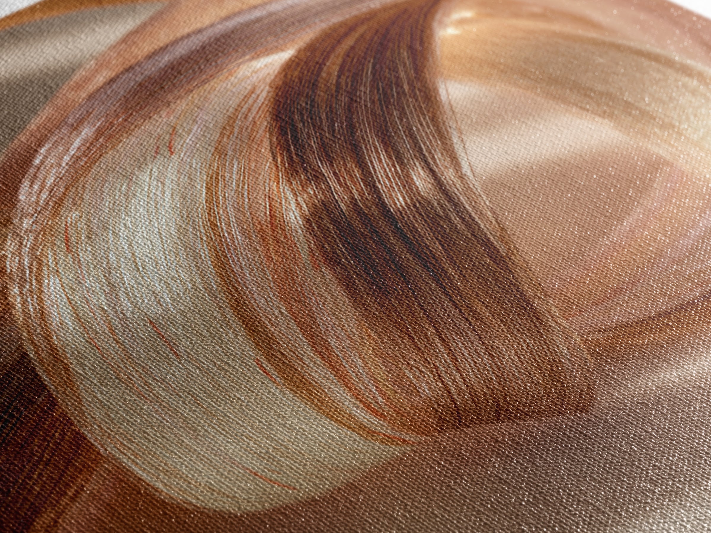Hair Strands Turning into Abstract Ribbons Canvas Print, Hair Salon Art, Gallery Decor, Living Room Decor, Abstract Art, Style, HSA-1x1-69