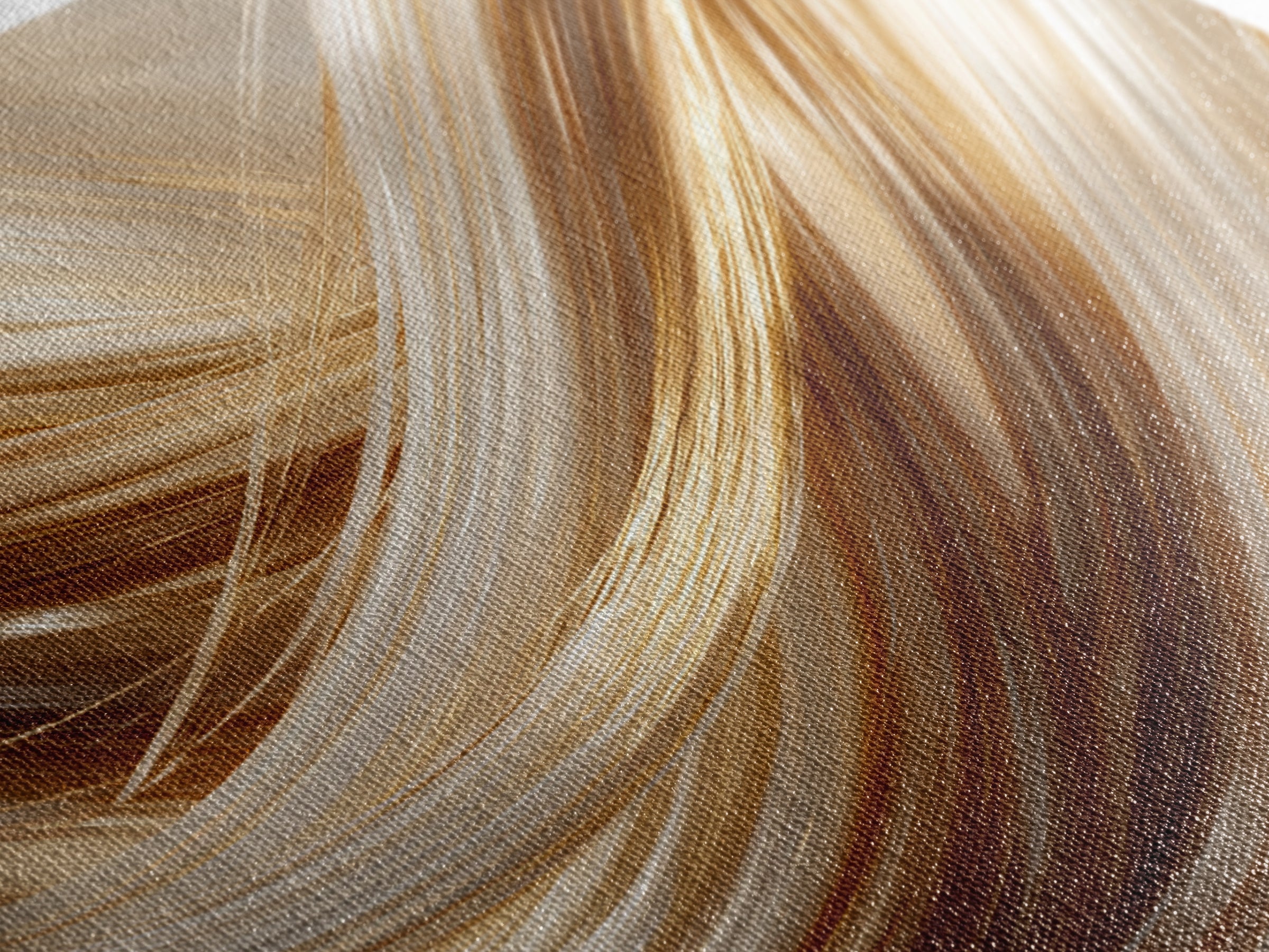 Hair Strands Turning into Abstract Ribbons Canvas Print, Hair Salon Art, Minimalist Wall Art, Living Room Decor, Abstract Art, HSA-3x2-1
