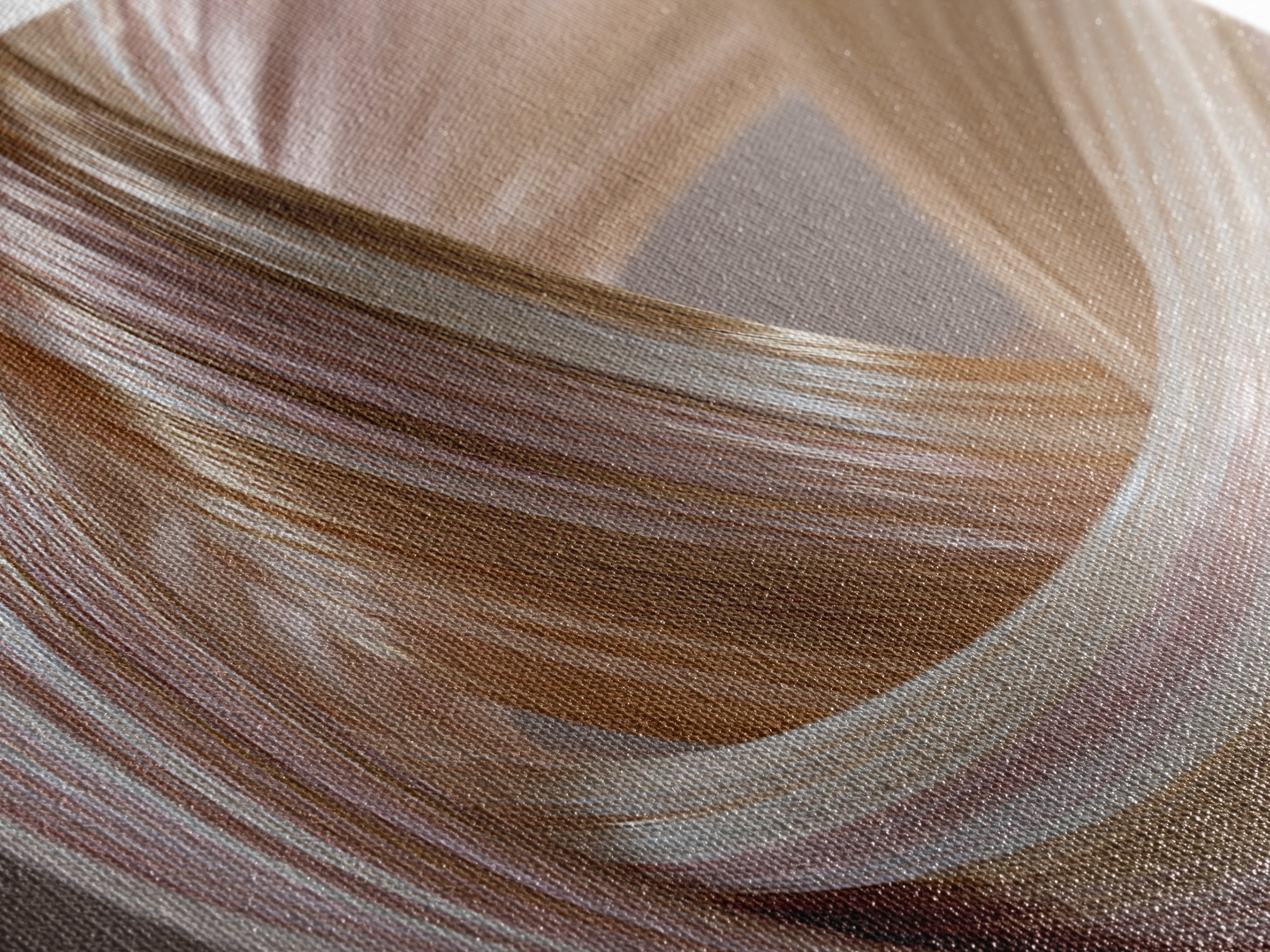 Hair Strands Turning into Abstract Ribbons Canvas Print, Hair Salon Art, Hairstylist, Living Room Decor, Fine Art, Style, HSA-3x2-49