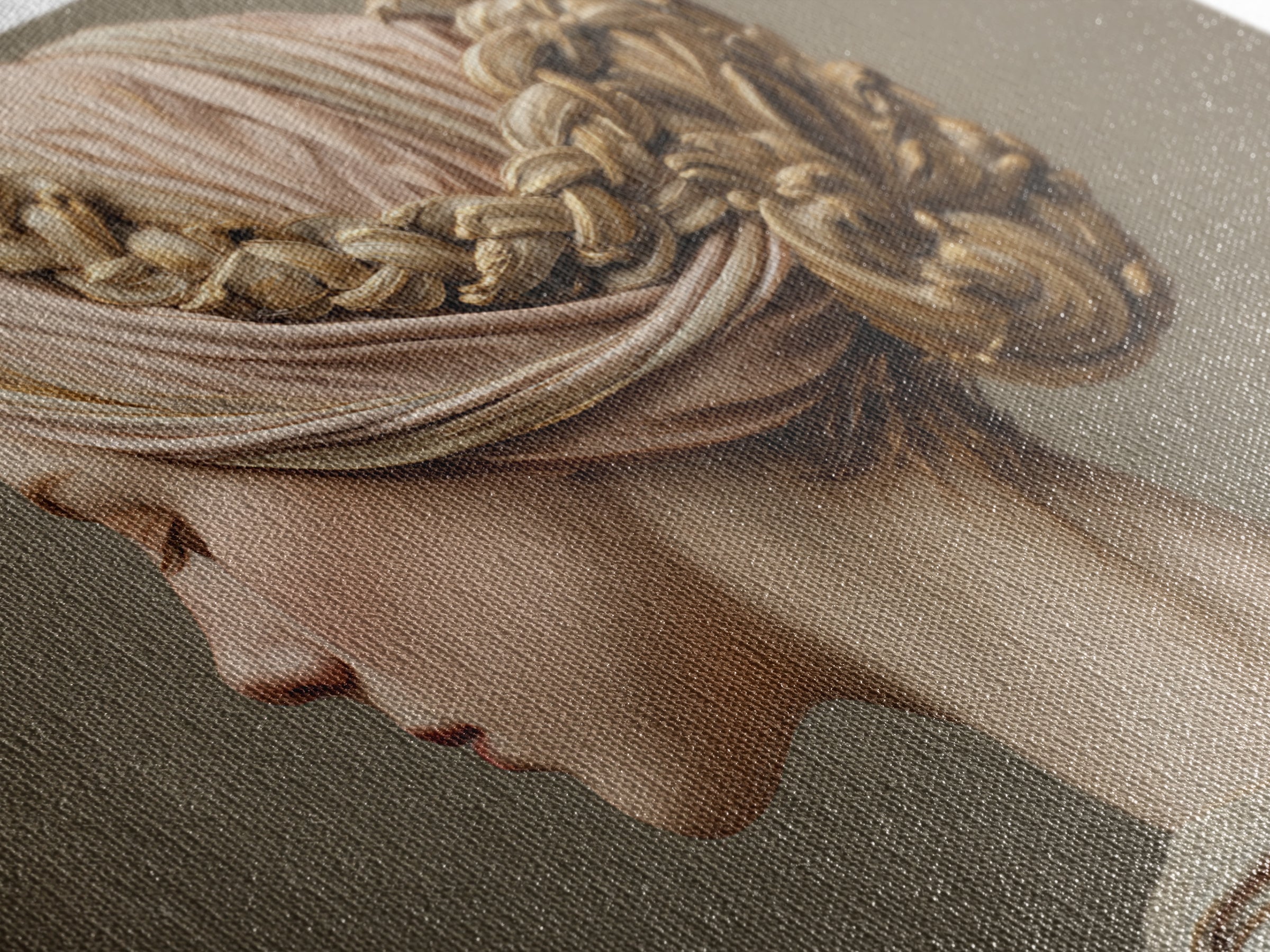Braided Hairstyle Study Framed Canvas Print, Hair Salon Art, Modern Decor, Living Room Decor, Fine Art, Style, Wall Decor, HSA-3x2-87