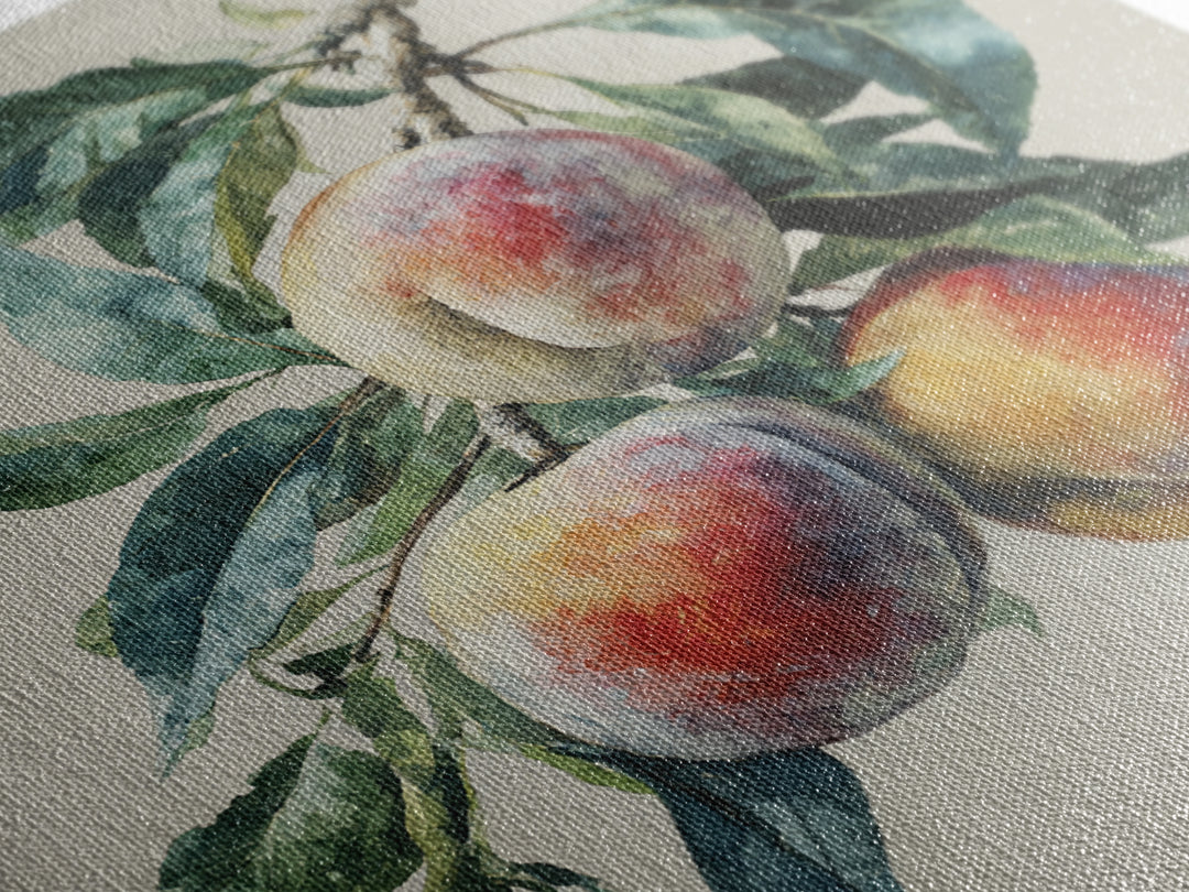 Still Life of Peaches Canvas Print, Impressionist Art, Textured Wall Art, Living Room Decor, Impression, Landscape Painting, IMP-1x1-23