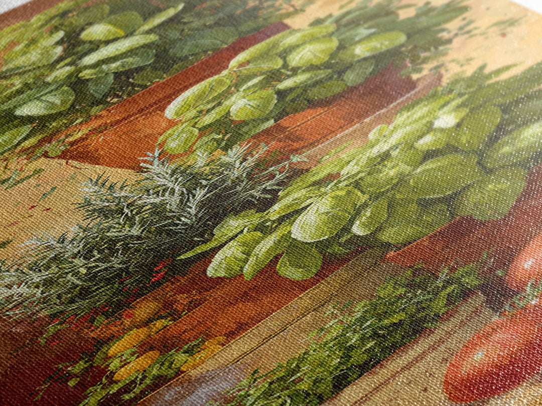 Fresh Herbs in Terracotta Pots Canvas Print, Kitchen Art, Statement Artwork, Kitchen Decor, Fine Art, Kitchen, Wall Decor, KIT-1x3-37