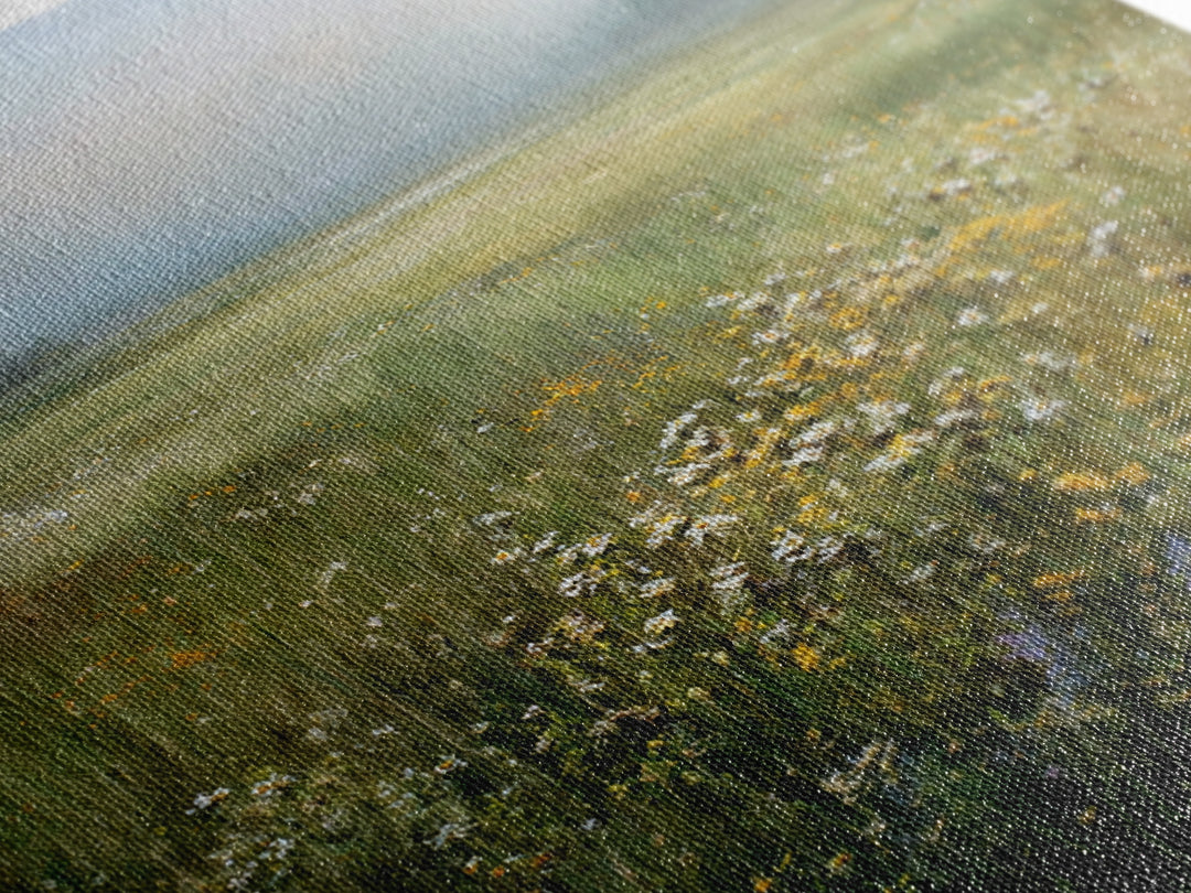 Sunlit Meadow with Wildflowers Framed Canvas Print, Landscape Art, Boho Decor, Living Room Decor, Fine Art, Horizon, Art Prints, LAN-1x1-37