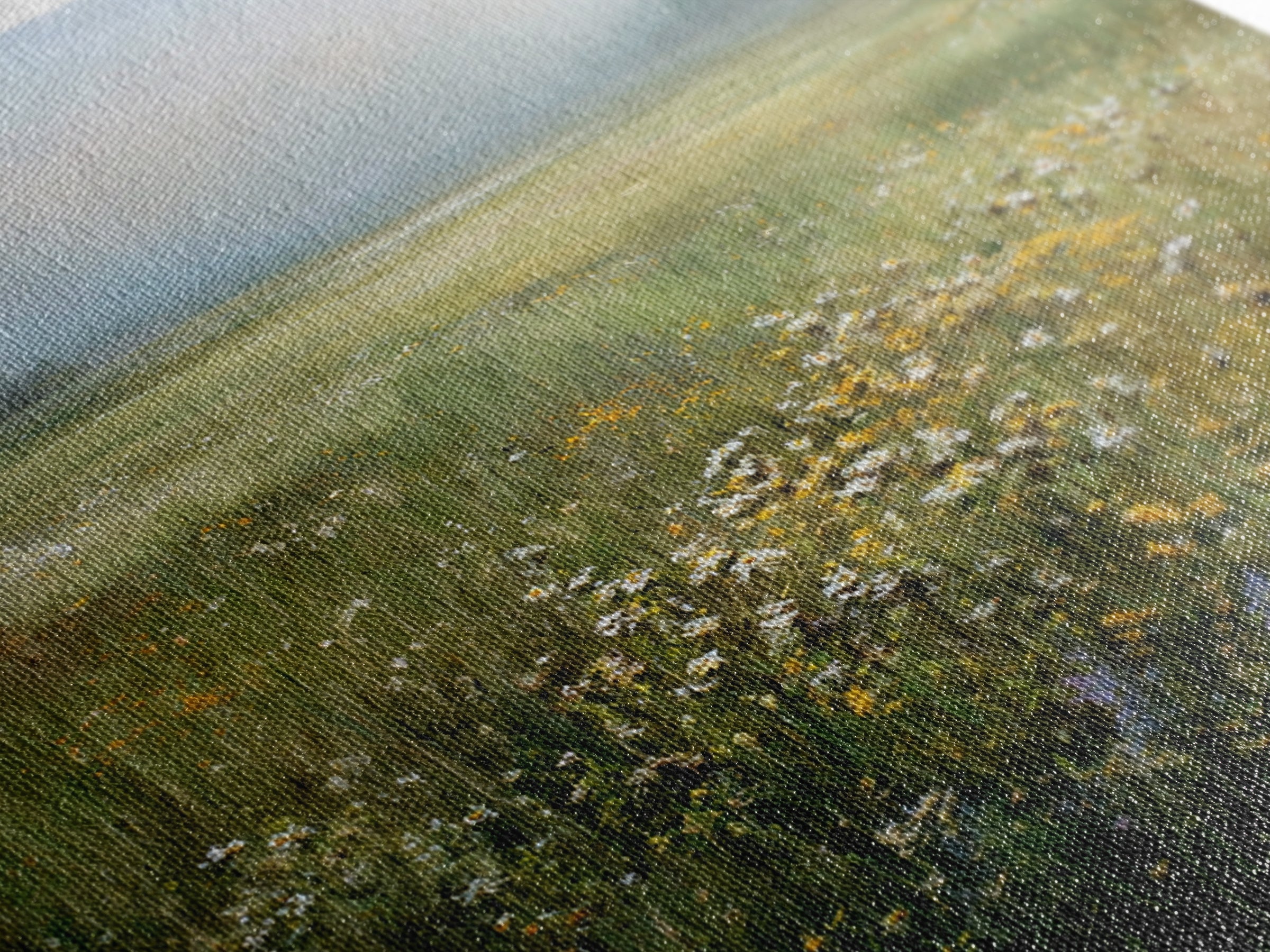 Sunlit Meadow with Wildflowers Framed Canvas Print, Landscape Art, Boho Decor, Living Room Decor, Fine Art, Horizon, Art Prints, LAN-1x1-37