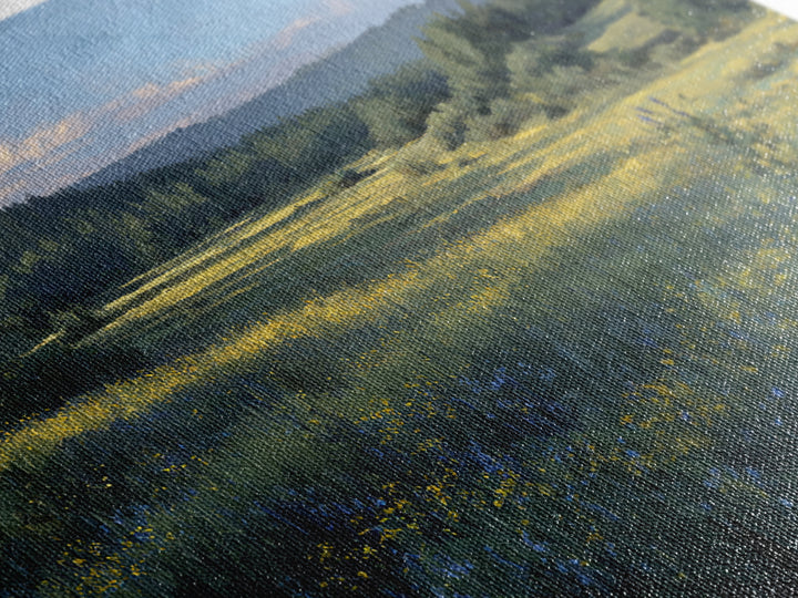 Sunlit Meadow with Wildflowers Framed Canvas Print, Landscape Art, Modern Art, Living Room Decor, Fine Art, Horizon, LAN-3x2-65