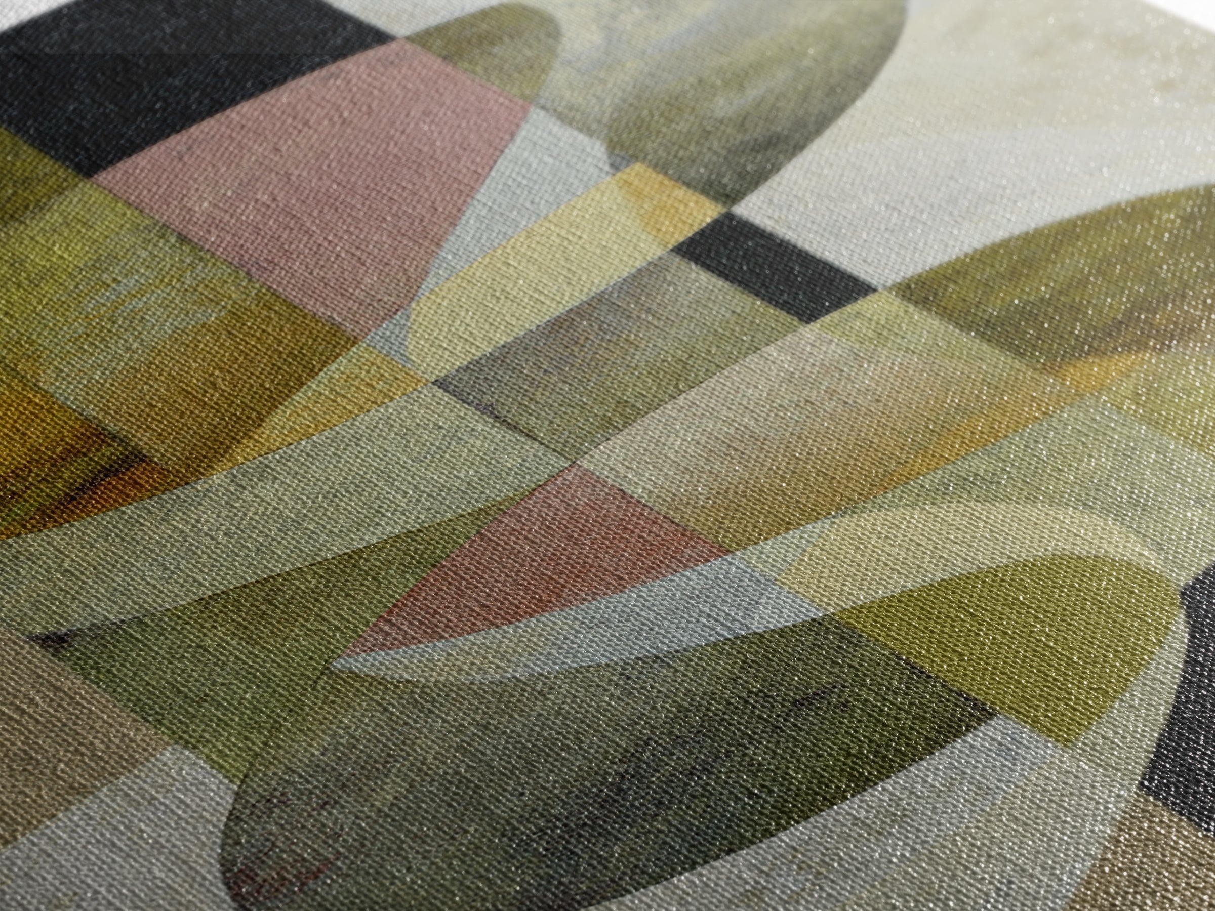 Abstract Organic Shapes Canvas Print, Living Room Art, Art Nouveau, Living Room Decor, Abstract Art, Living, Modern Wall Art, LIR-1x3-27