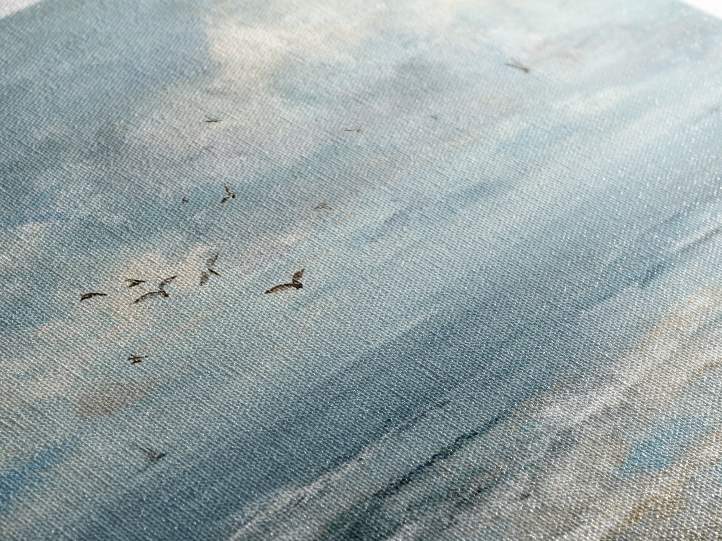 Coastal Aerial Shoreline Framed Canvas Print, Living Room Art, Living Room Wall Art, Living Room Decor, Fine Art, Living, LIR-2x1-79