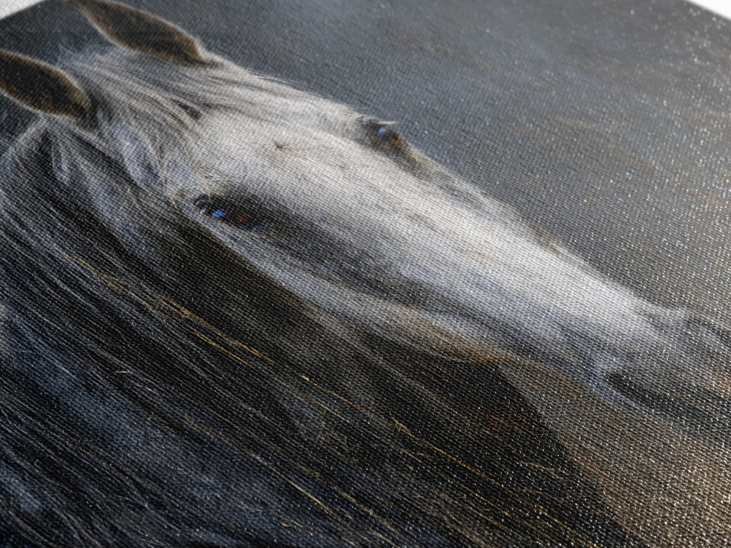 Contemporary Horse Portrait Canvas Print, Living Room Art, New Home Gift, Living Room Decor, Fine Art, Living, Gallery Decor, LIR-3x2-62