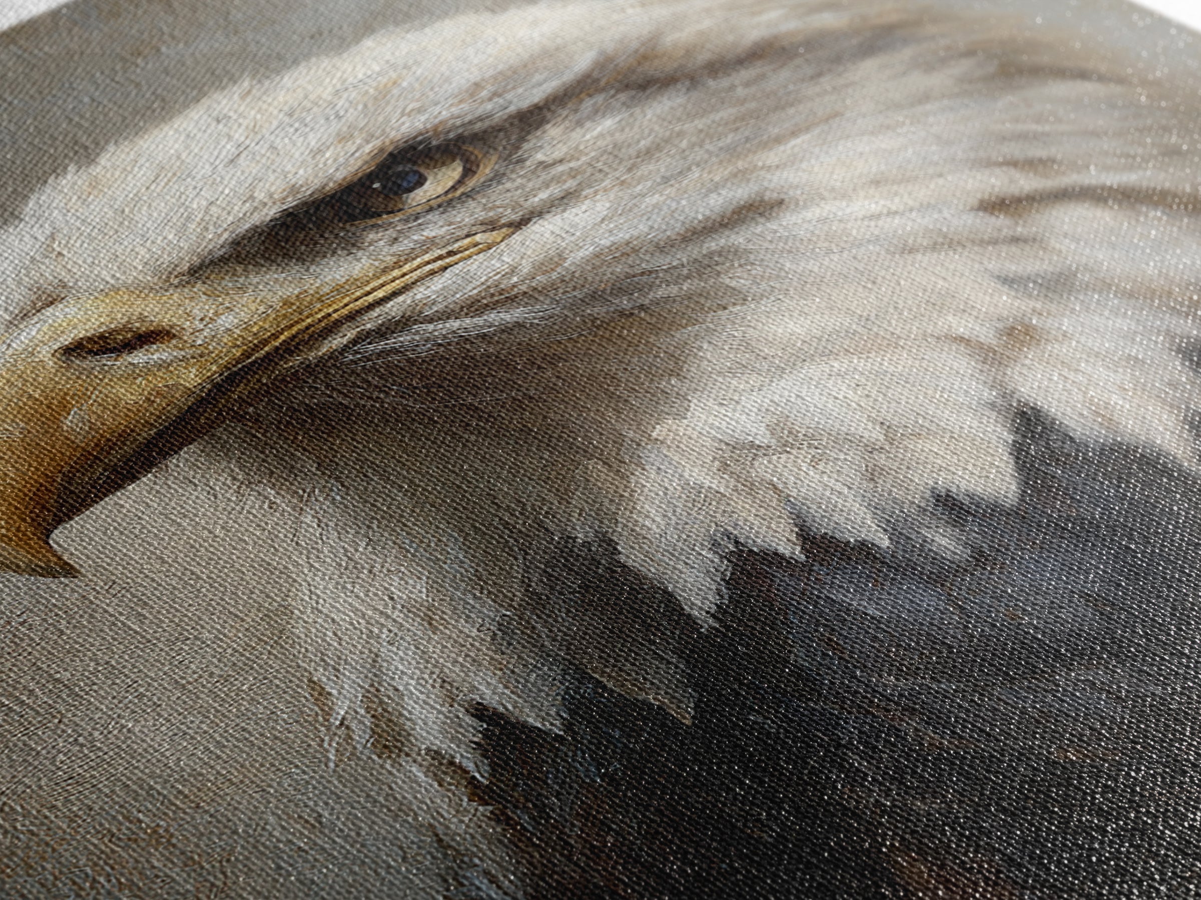 Eagle Portrait with Solemn Presence Canvas Print, Law Office Art, Wall Art, Office Decor, Fine Art, Counsel, Office Wall Decor, LOA-2x3-86