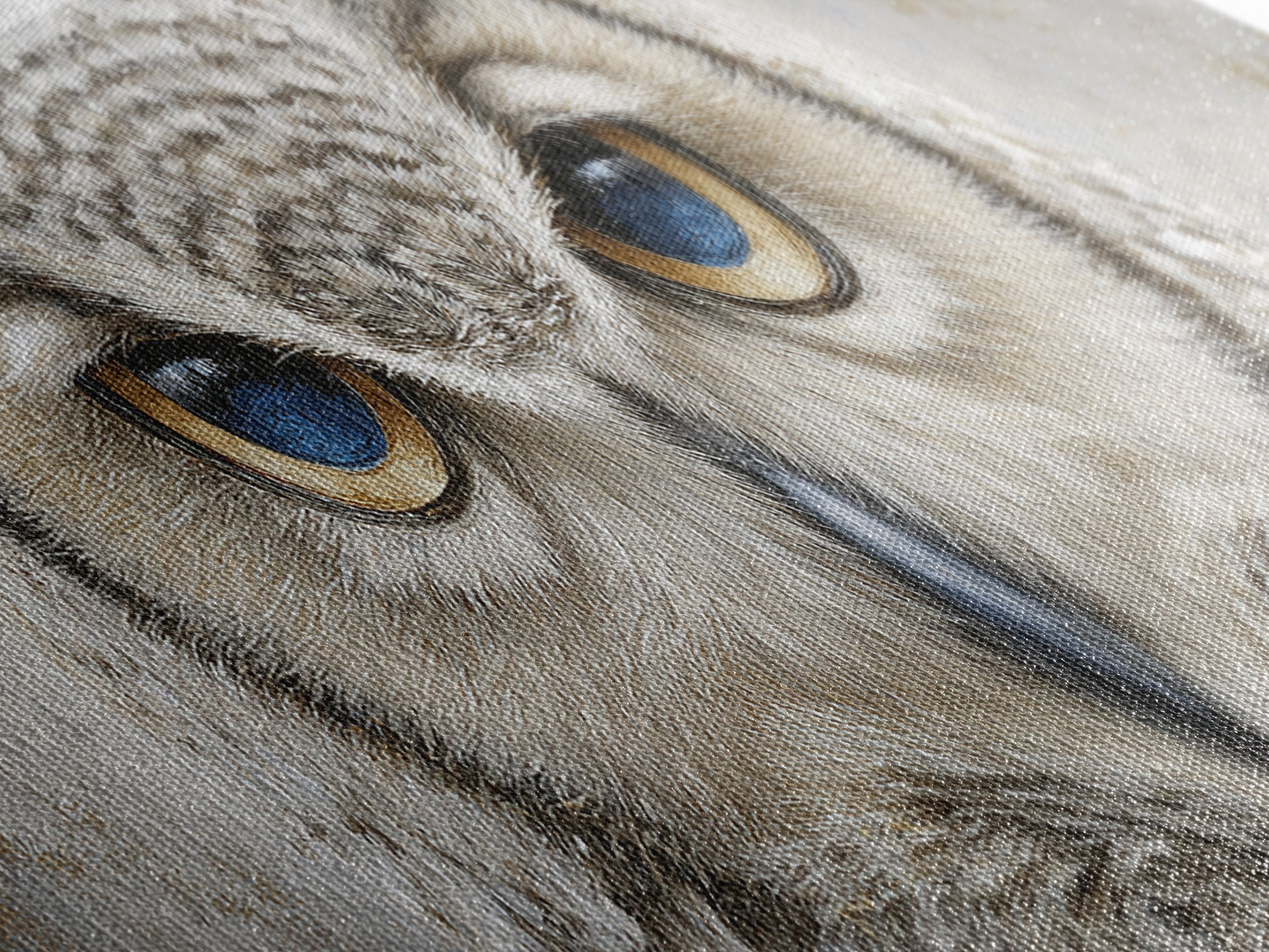 Owl Portrait Representing Wisdom Canvas Print, Law Office Art, Office Wall Art, Office Decor, Fine Art, Counsel, Butterfly Art, LOA-3x1-33