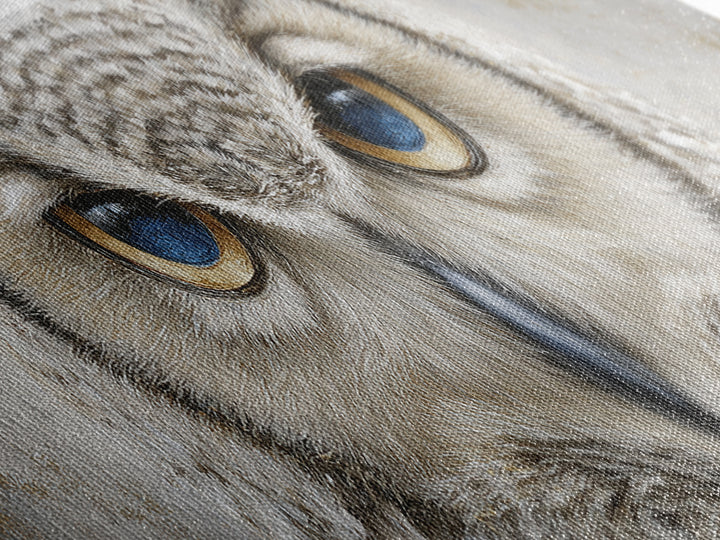 Owl Portrait Representing Wisdom Canvas Print, Law Office Art, Office Wall Art, Office Decor, Fine Art, Counsel, Butterfly Art, LOA-3x1-33