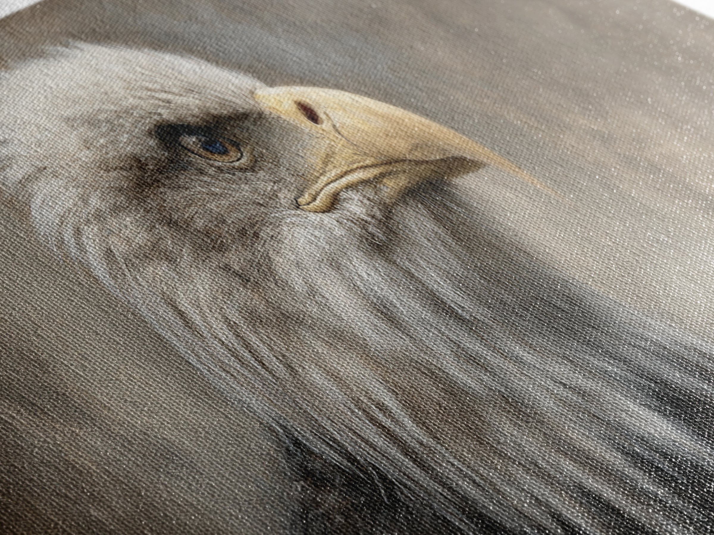 Eagle Portrait with Solemn Presence Canvas Print, Law Office Art, Poster Print, Office Decor, Fine Art, Counsel, Lawyer Gift, LOA-3x1-46