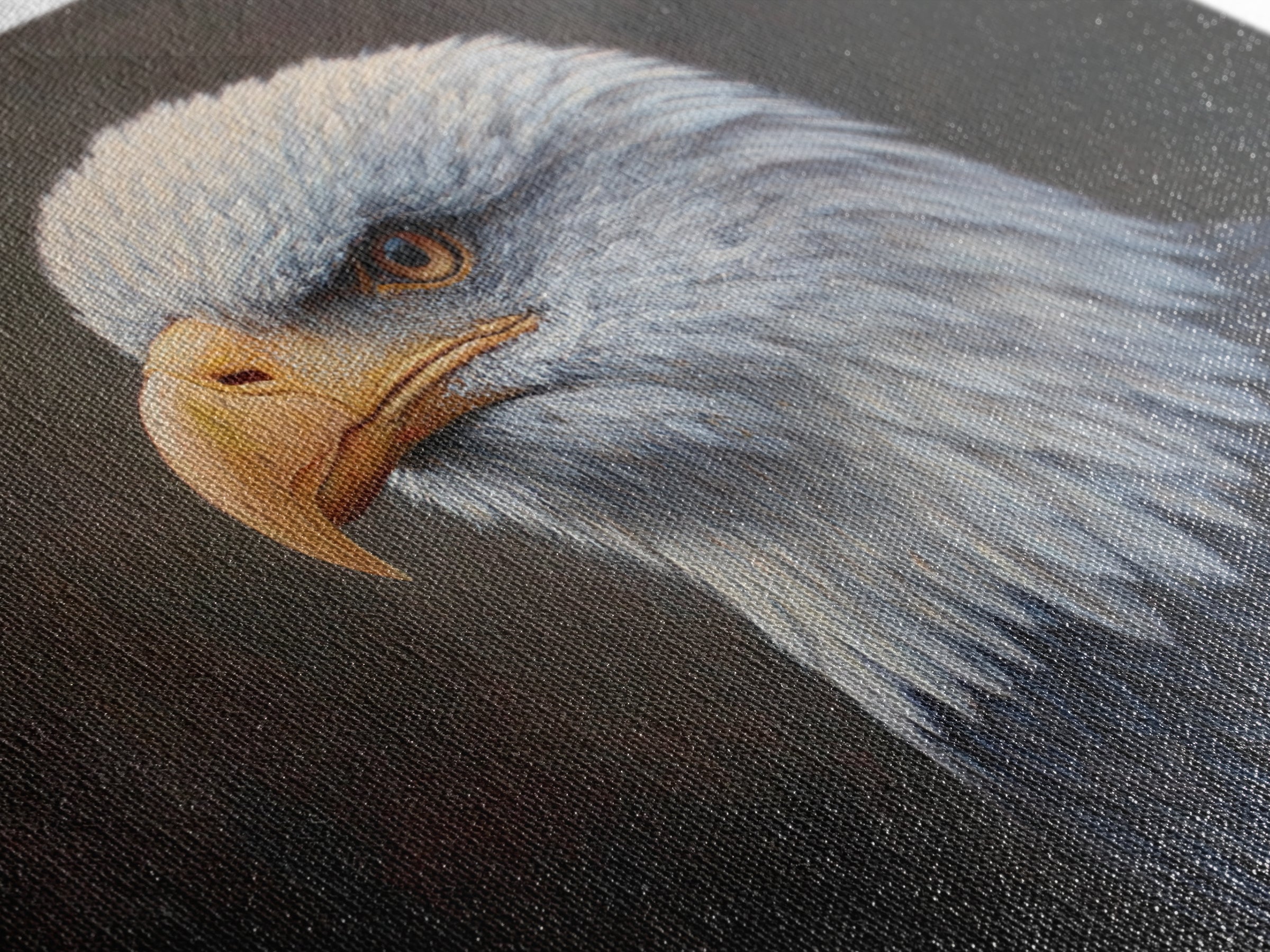 Eagle Portrait with Solemn Presence Framed Canvas Print, Law Office Art, Office Decor, Fine Art, Counsel, Therapy Office Decor, LOA-3x2-10
