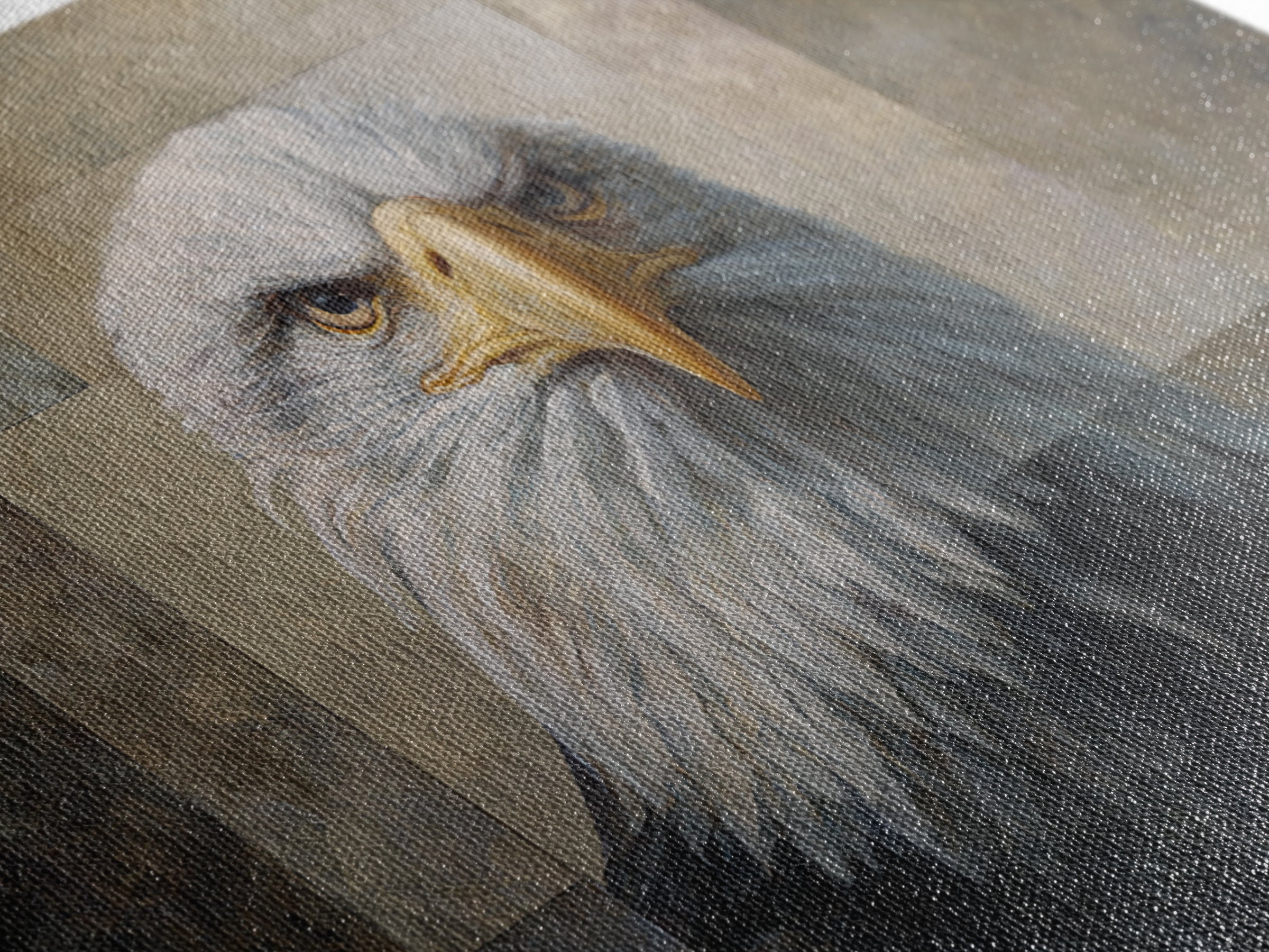 Eagle Portrait with Solemn Presence Canvas Print, Law Office Art, Metal Wall Decor, Office Decor, Counsel, Home Office Decor, LOA-3x2-58
