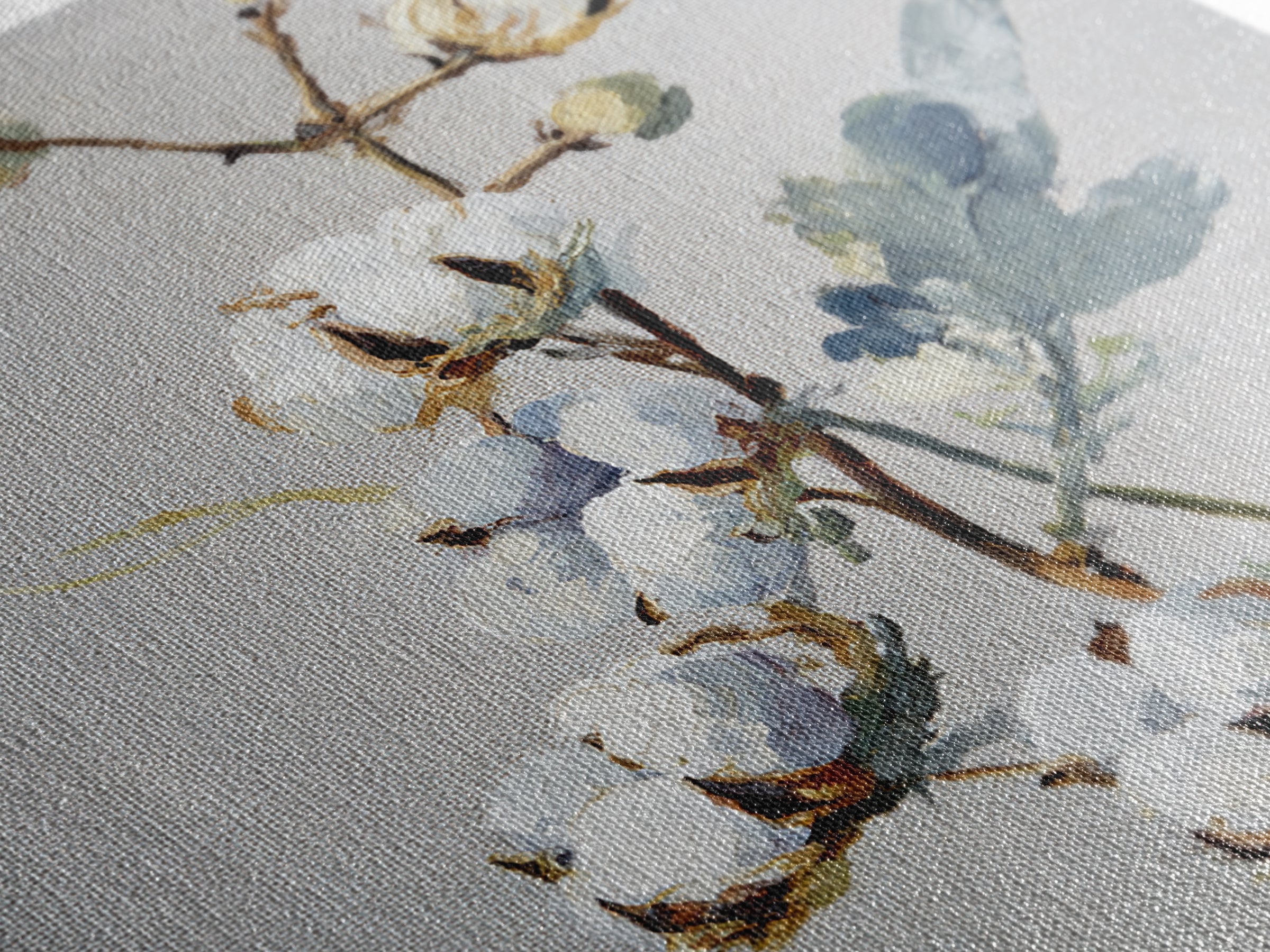 Fresh Cotton Branch Botanical Study Canvas Print, Laundry Room Art, Retro Wall Art, Living Room Decor, Watercolor Art, Clean, LRA-1x1-31