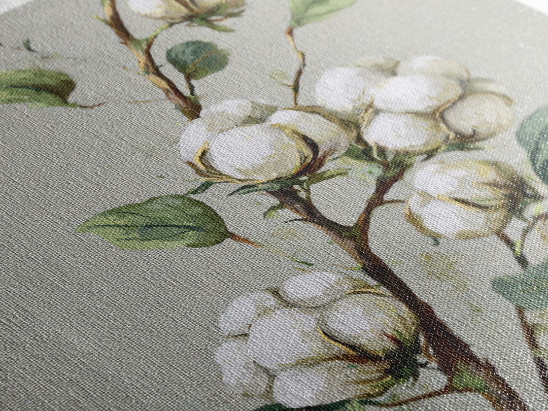 Fresh Cotton Branch Botanical Study Framed Canvas Print, Laundry Room Art, Fine Art Print, Living Room Decor, Fine Art, Clean, LRA-1x1-79
