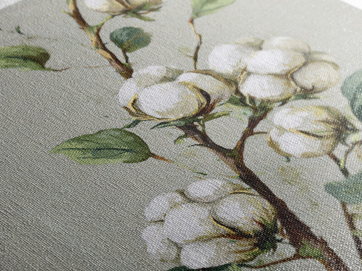 Fresh Cotton Branch Botanical Study Framed Canvas Print, Laundry Room Art, Fine Art Print, Living Room Decor, Fine Art, Clean, LRA-1x1-79